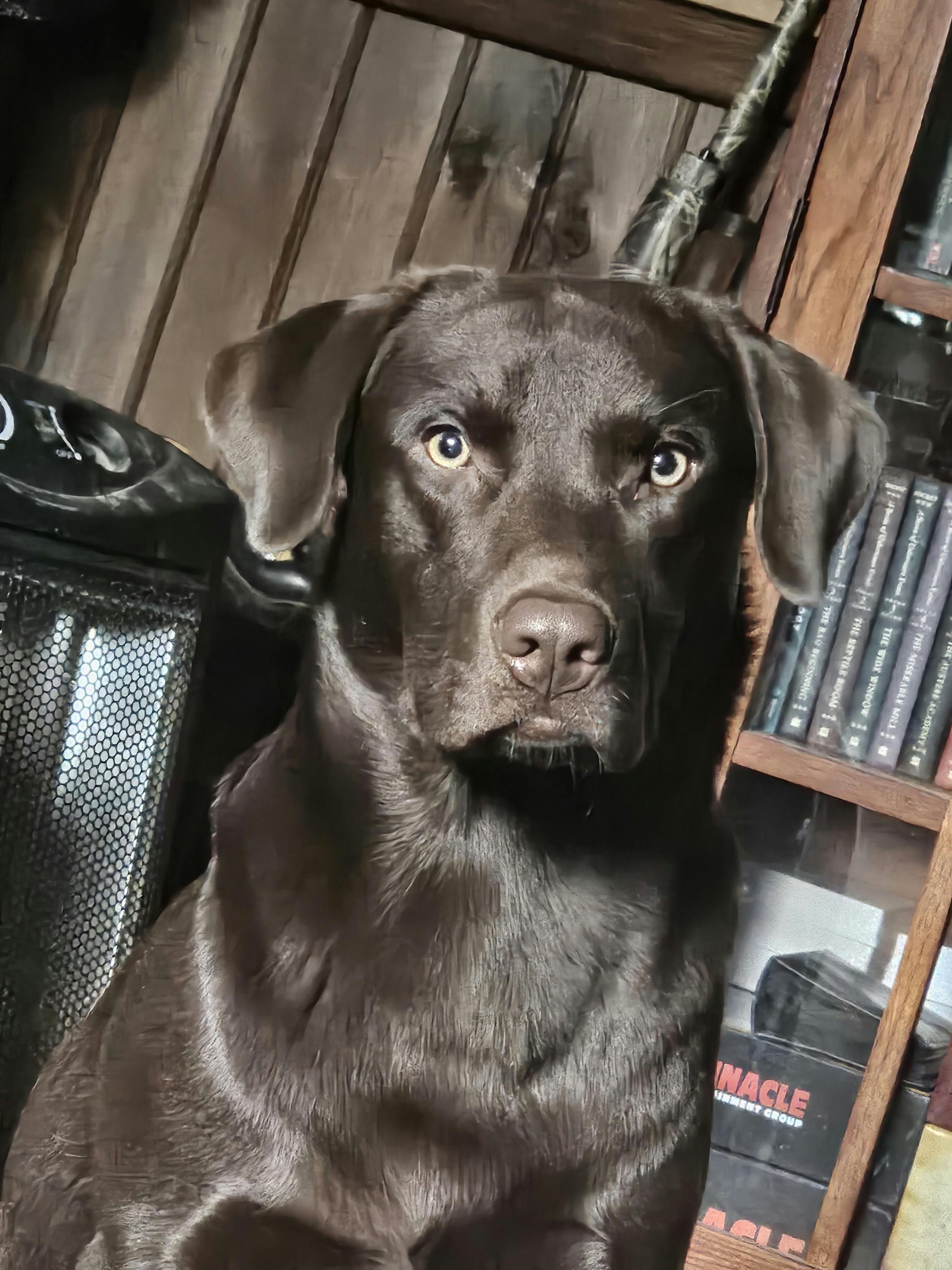 user avatar image for Caleb Watson