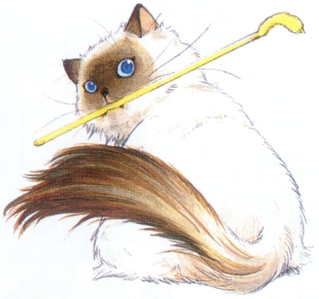 user avatar image for Wendy Sparkman