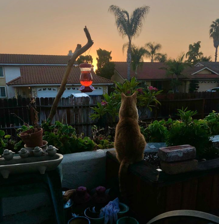 user avatar image for Patrick