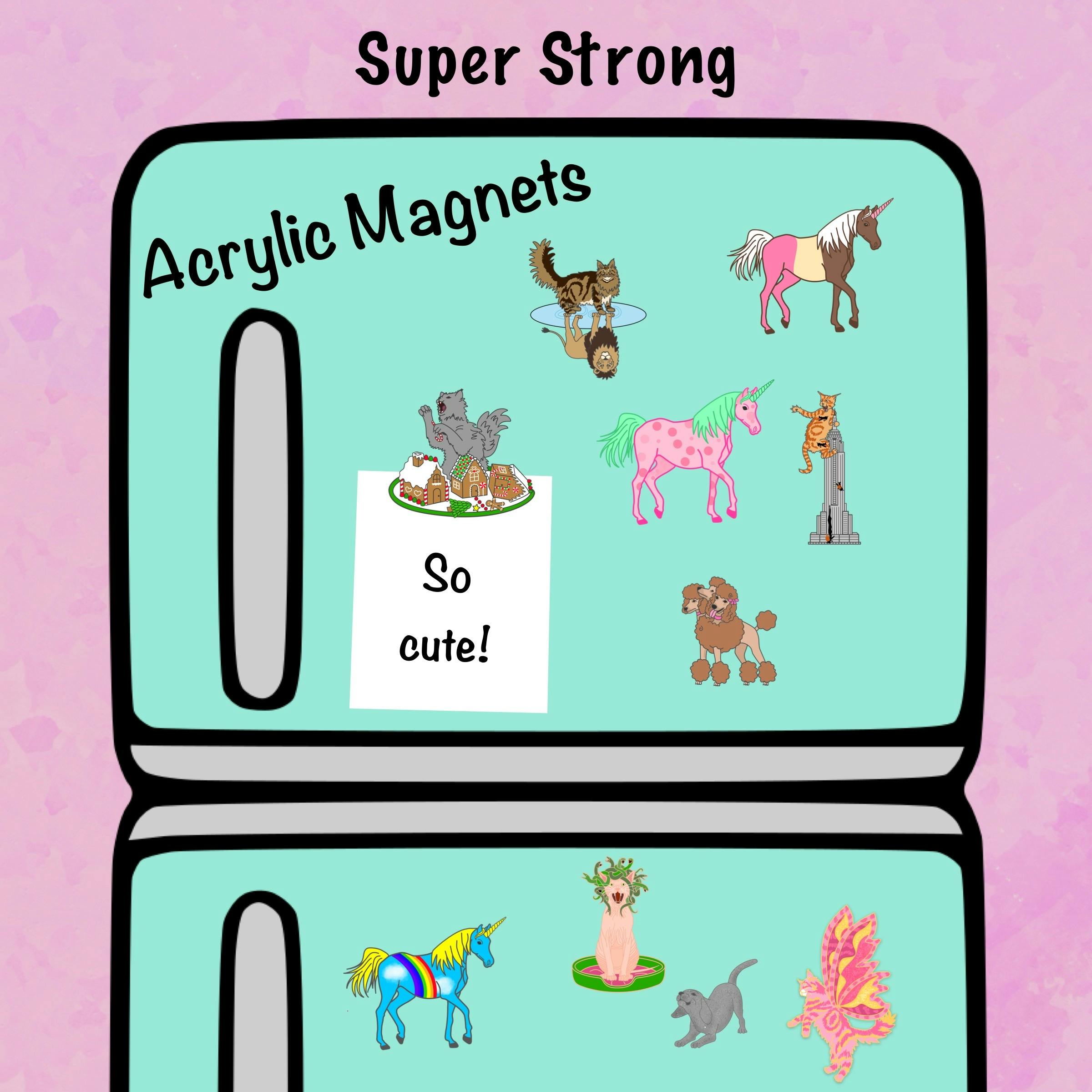 3 Super Strong Acrylic Magnets for $15