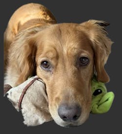 user avatar image for Nikki11