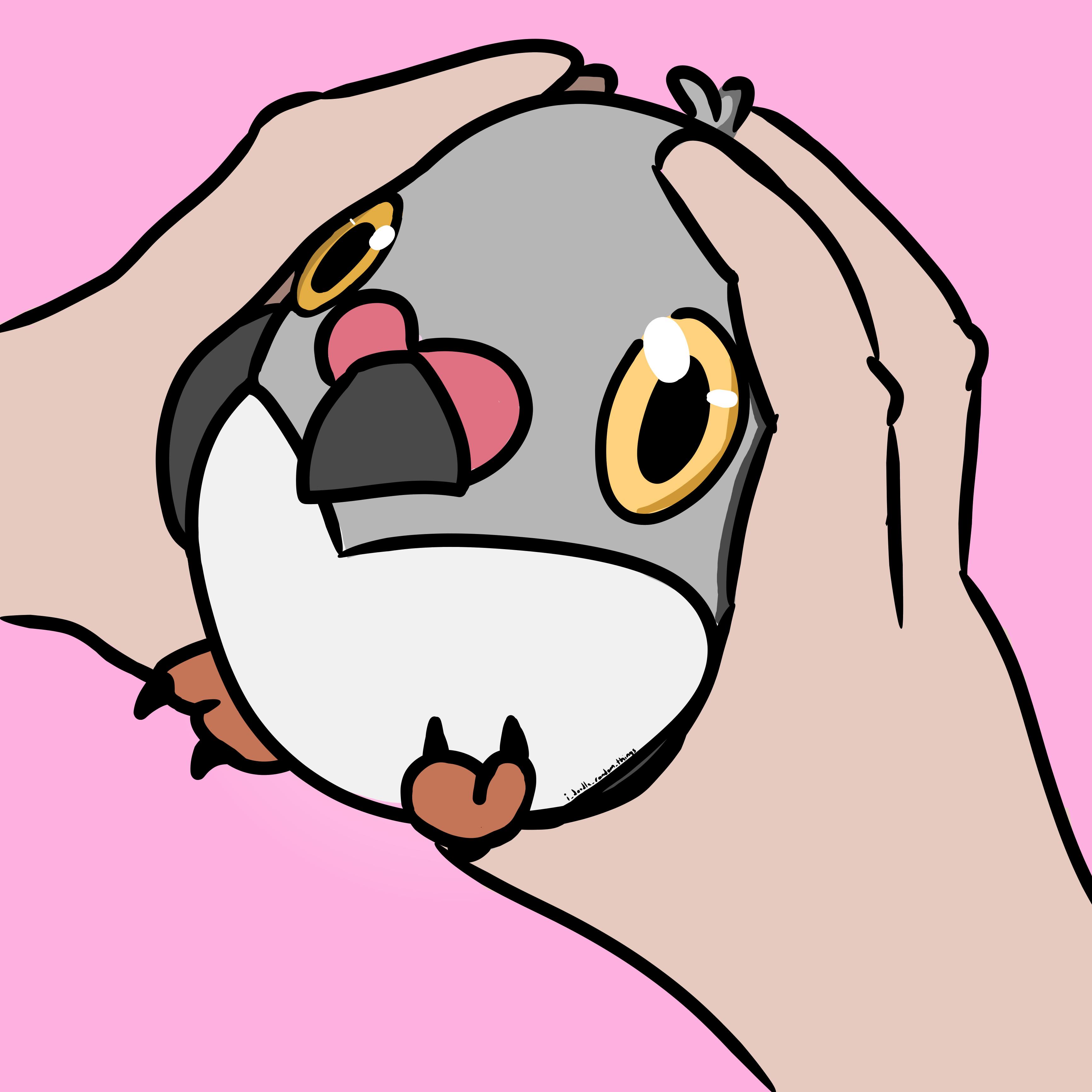 20 cm x 10 cm Hold Gently like Hamburger Pidove