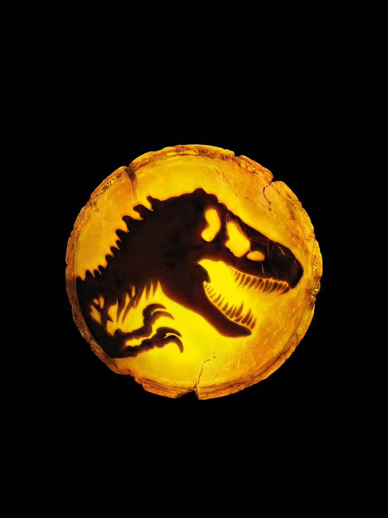 user avatar image for Katie A.