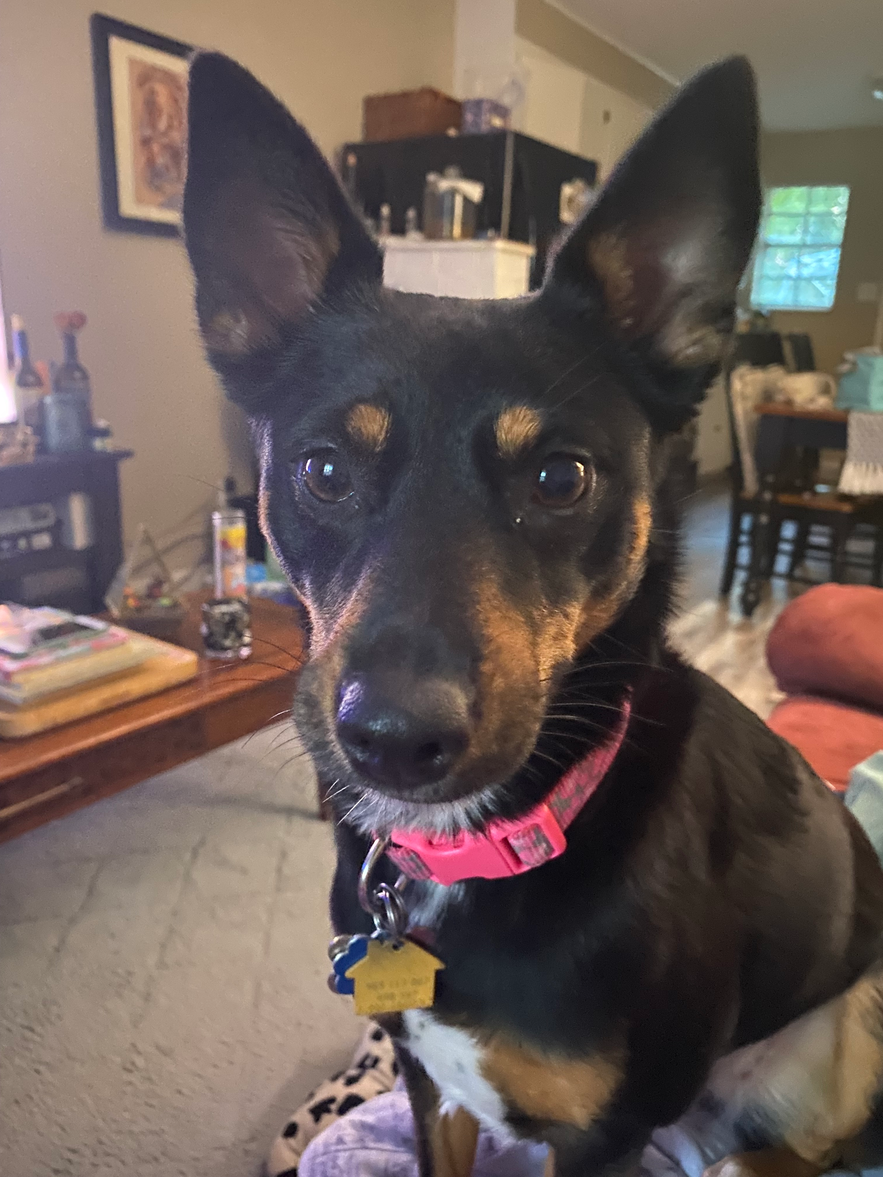 user avatar image for Julianna Earnest