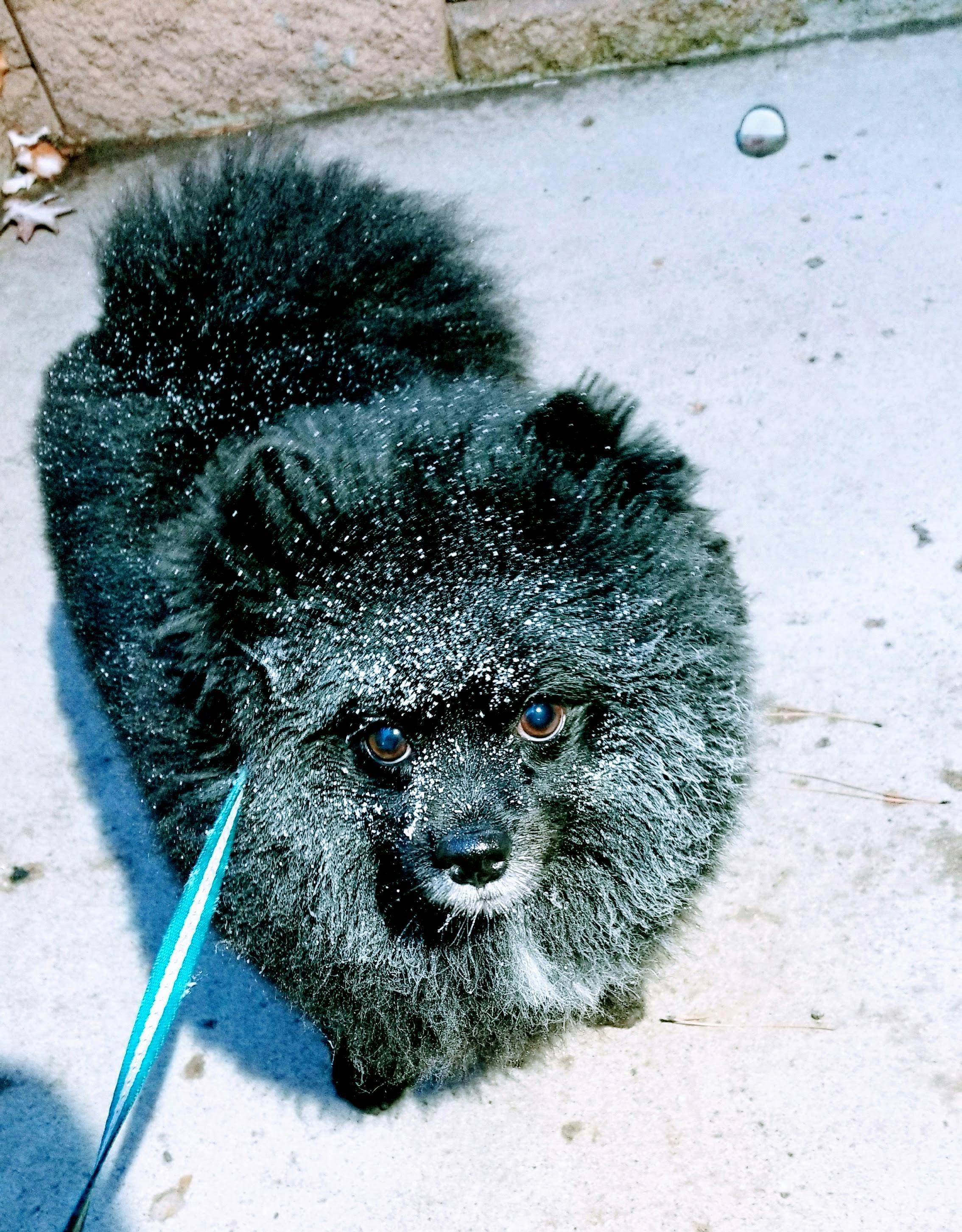 user avatar image for Marcelo Will