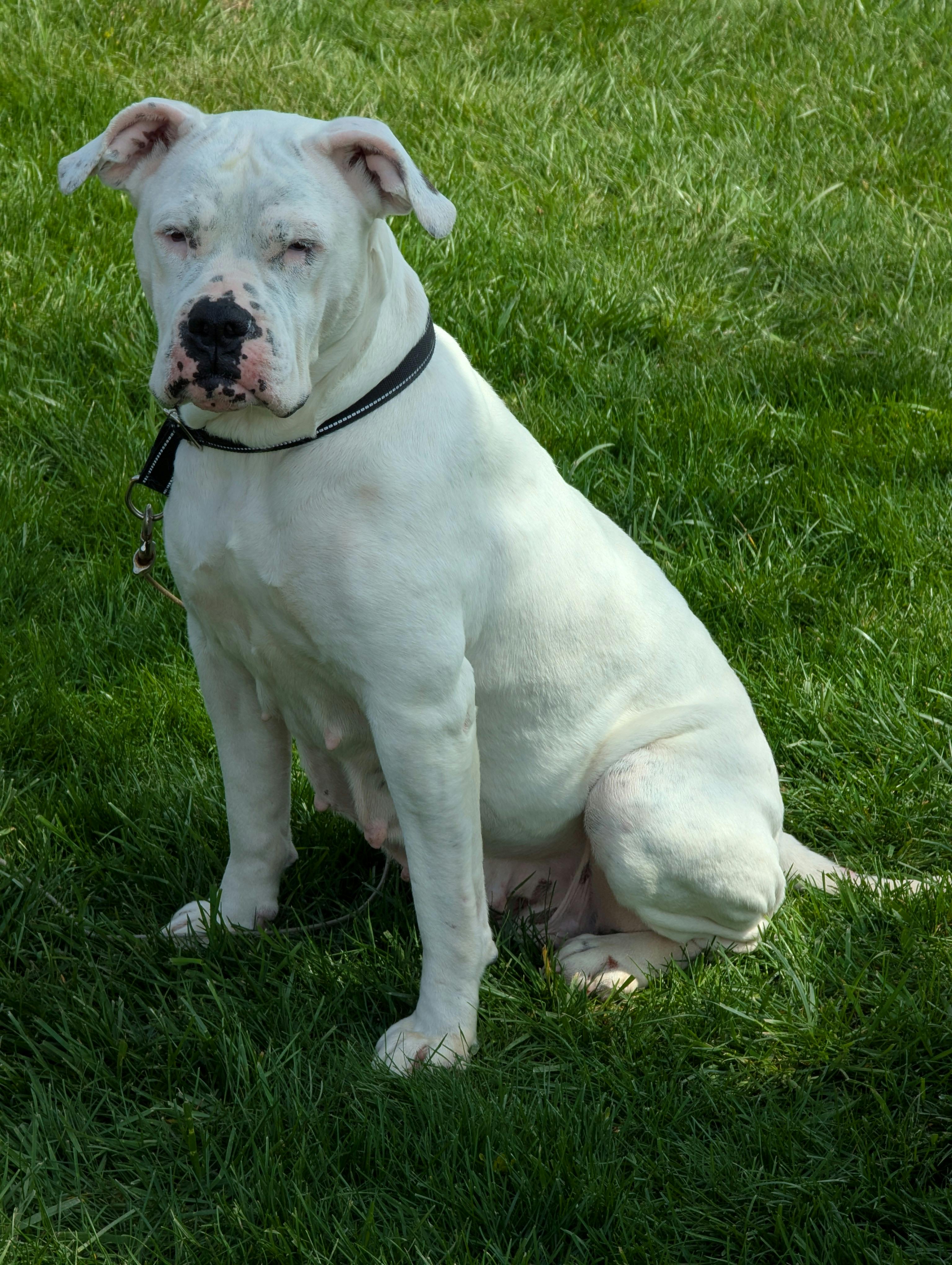 user avatar image for Josh Young