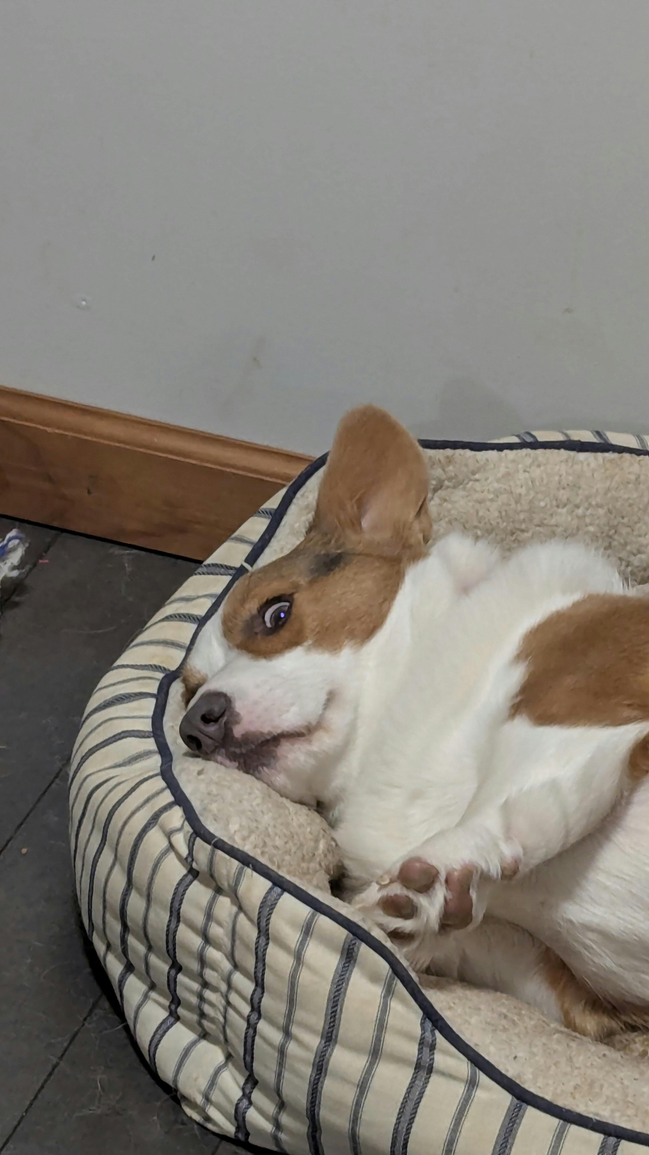 user avatar image for Kelly