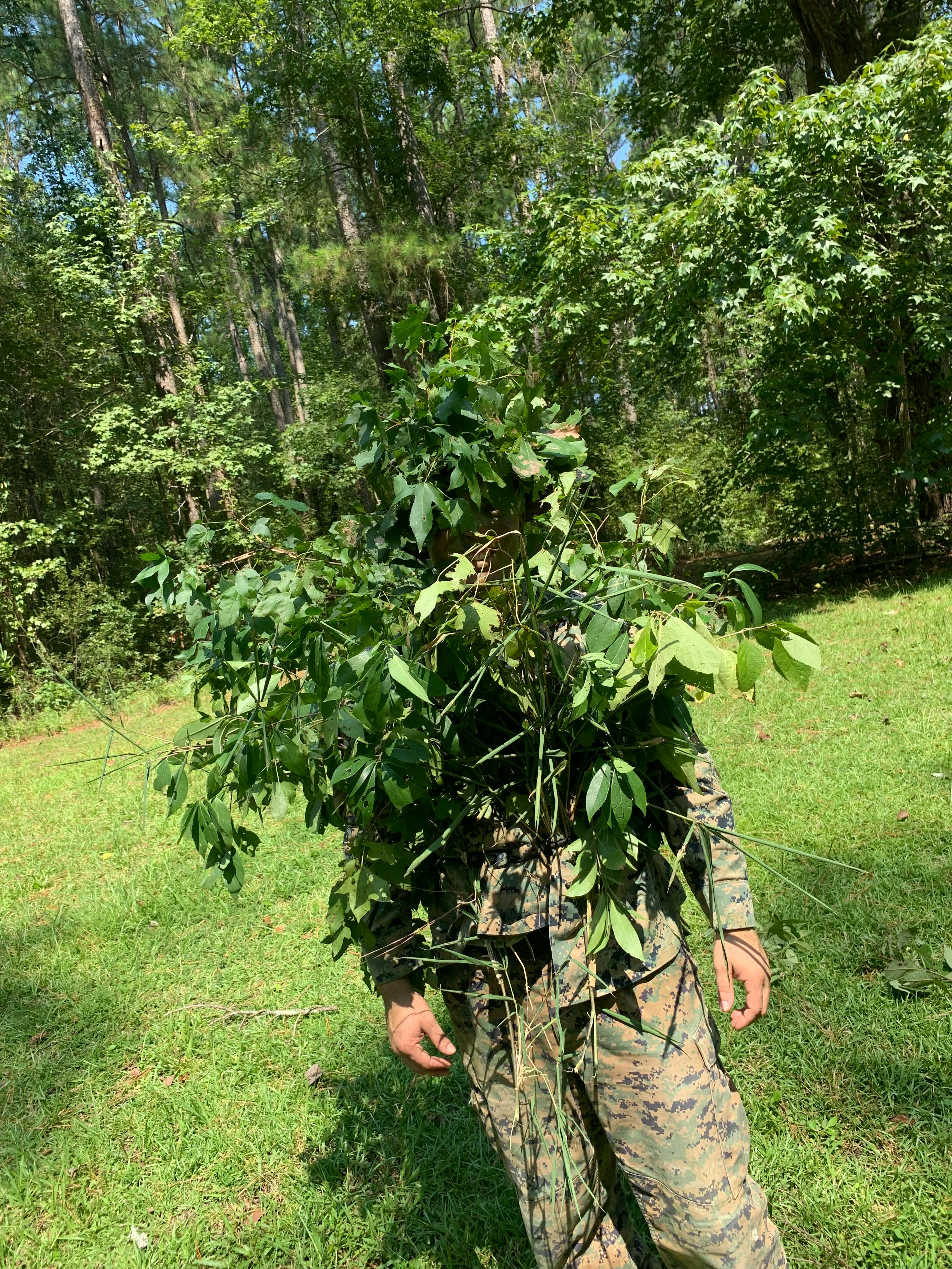 user avatar image for Bull3tT0othTony