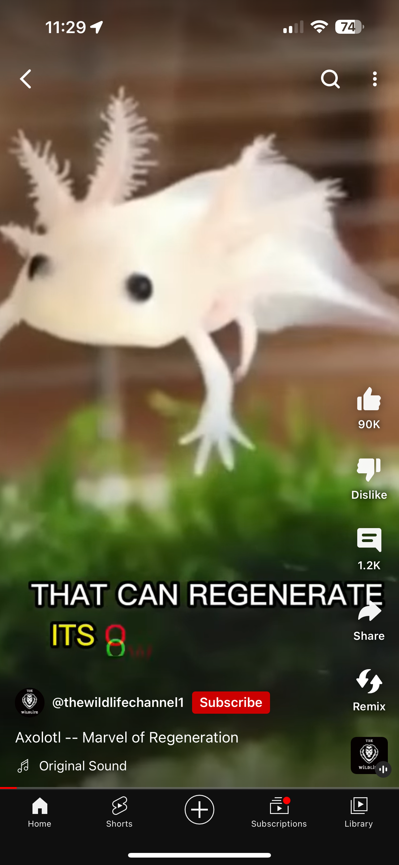 user avatar image for C Stahn