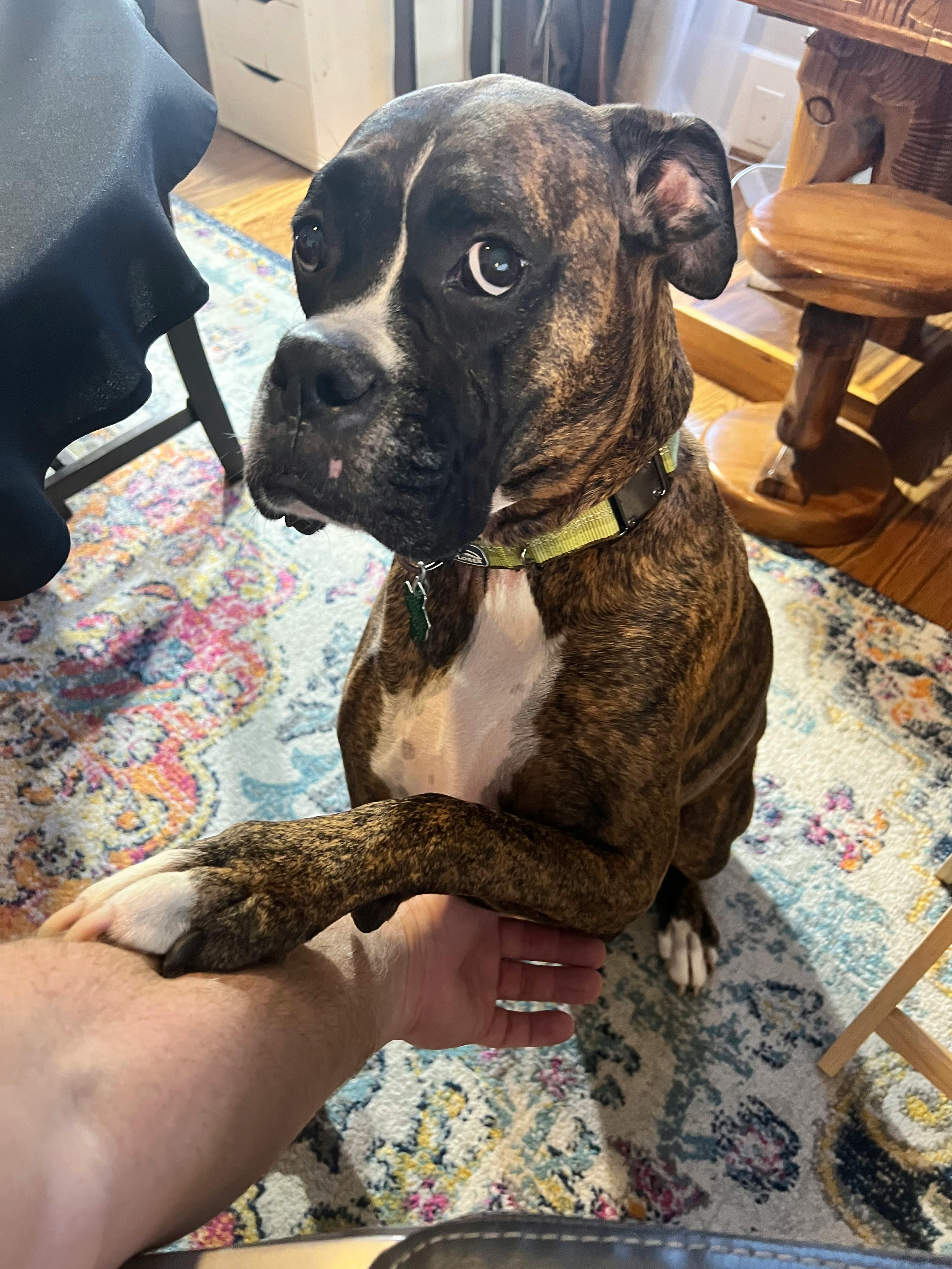 user avatar image for Pete Hardenberger