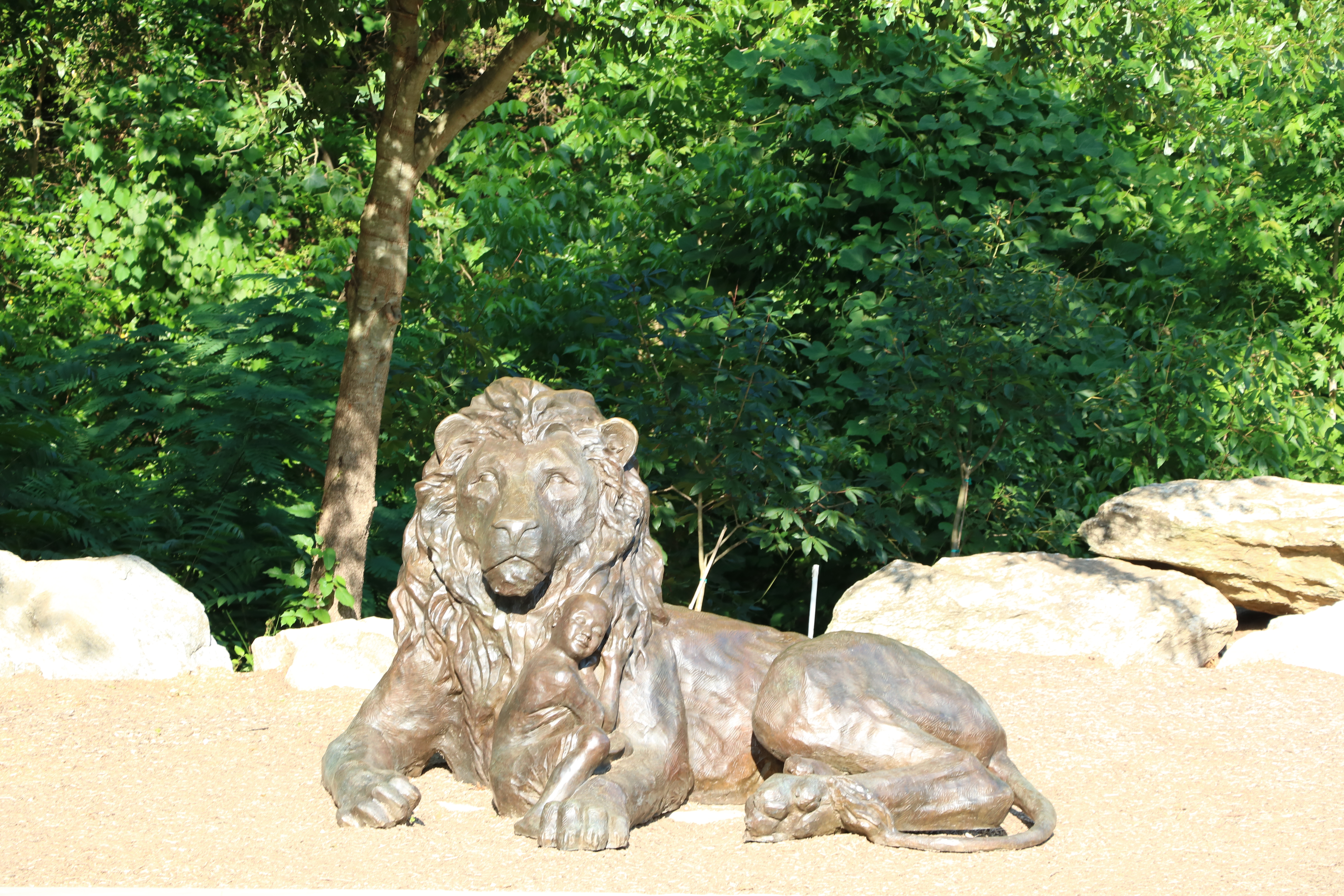 user avatar image for Peter Delaney