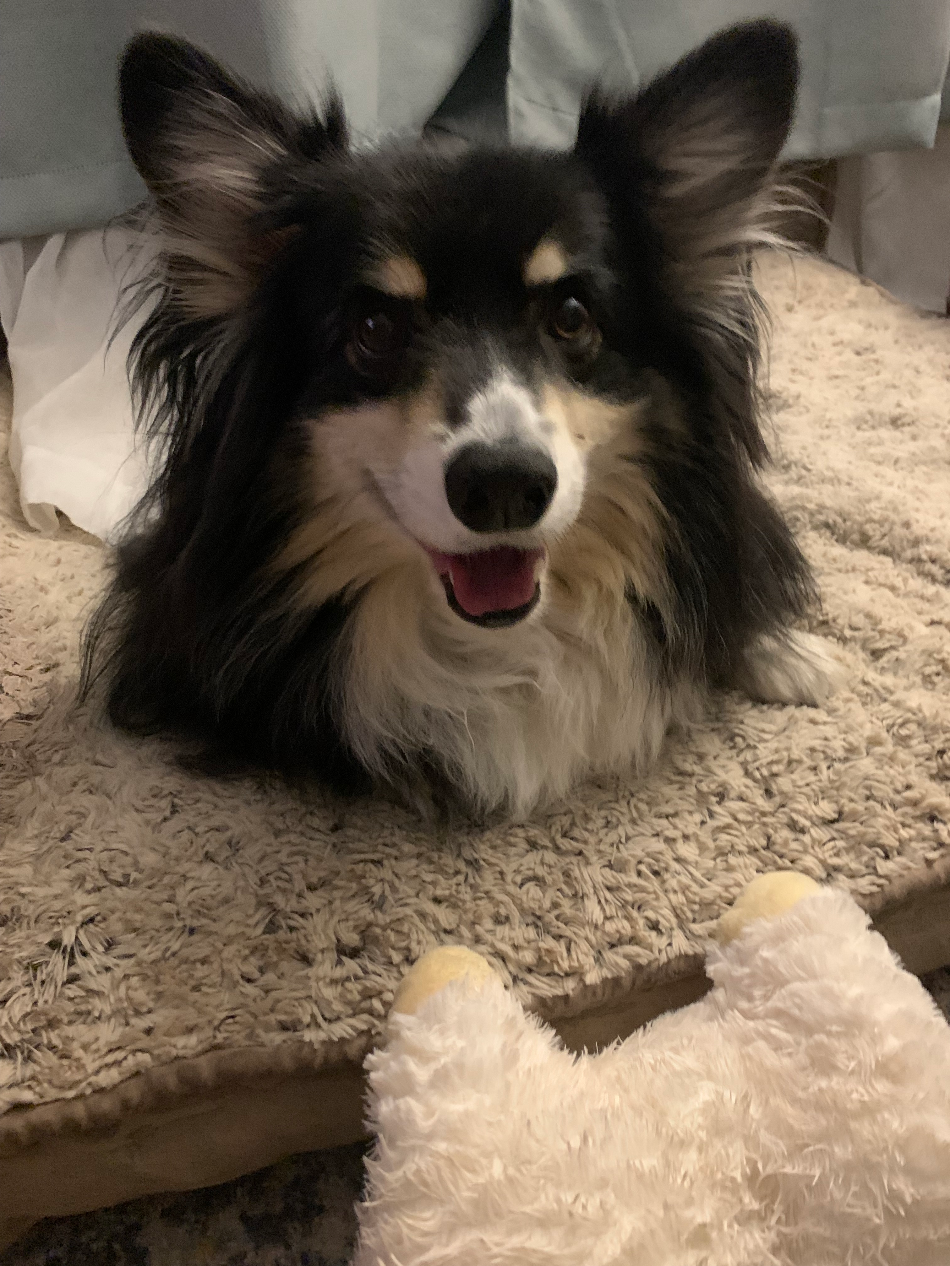 user avatar image for Jenna