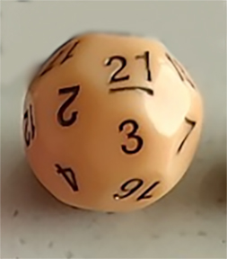 D21 - New Color - Cream with Coffee numbers