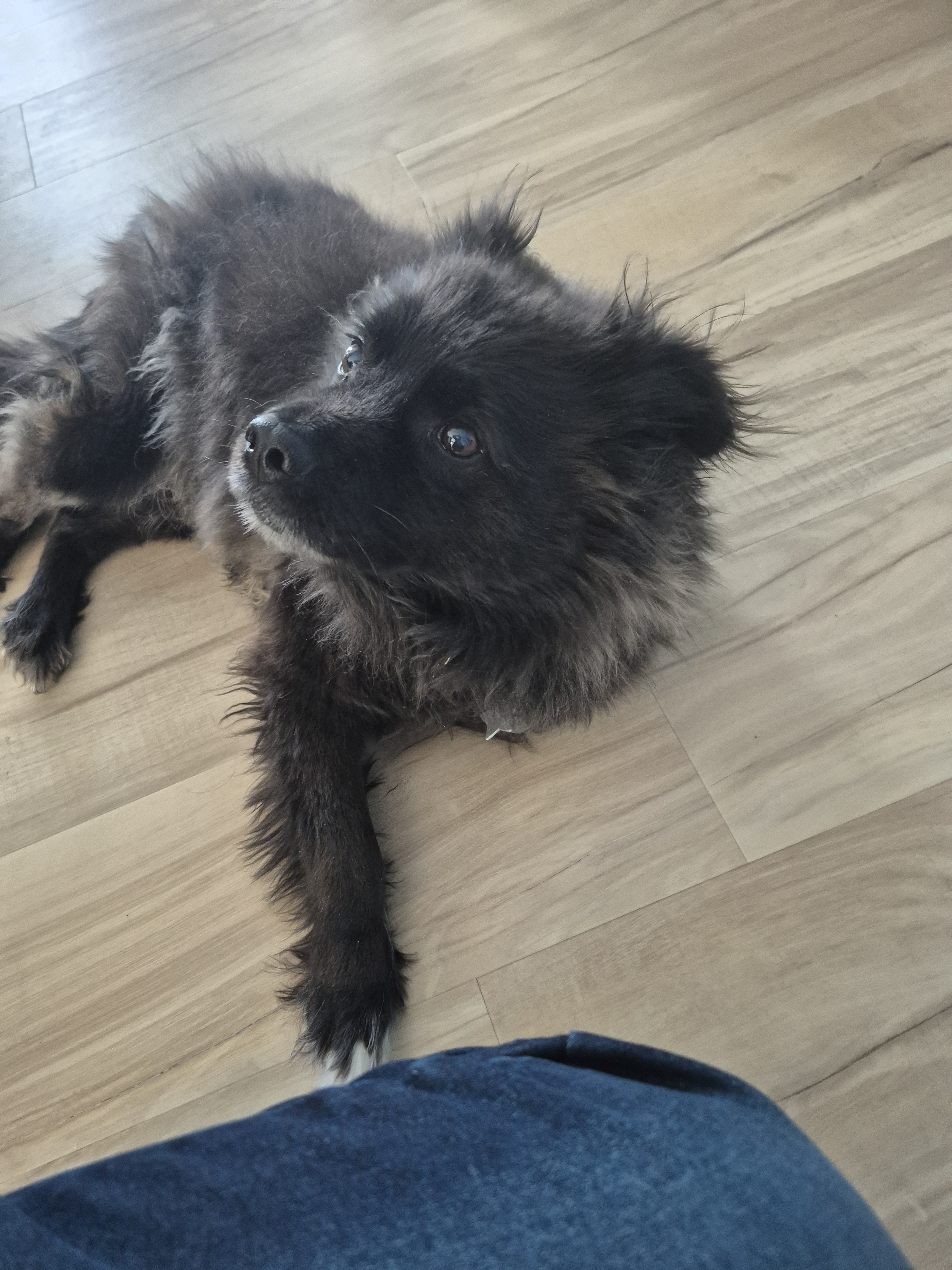 user avatar image for Scruffy