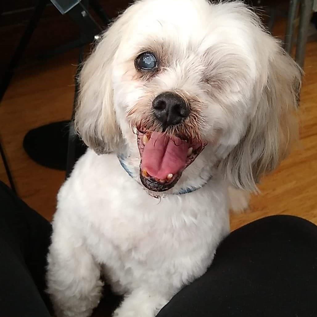 user avatar image for Helen