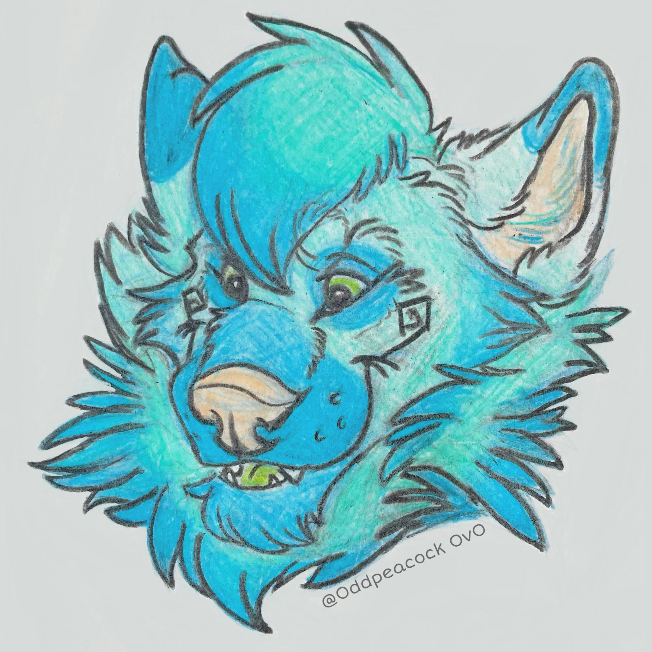 user avatar image for Kal