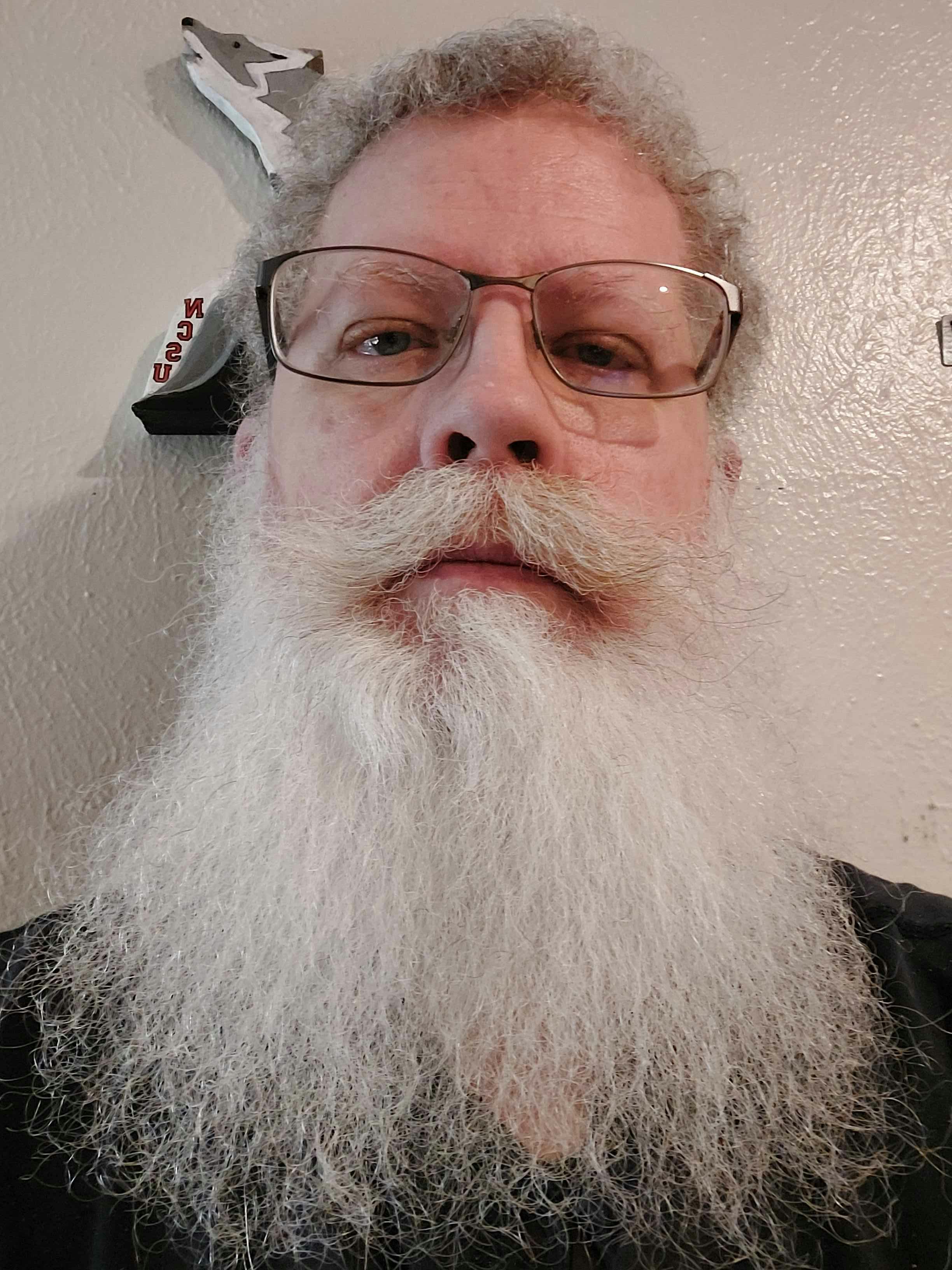 user avatar image for Peter Boyles