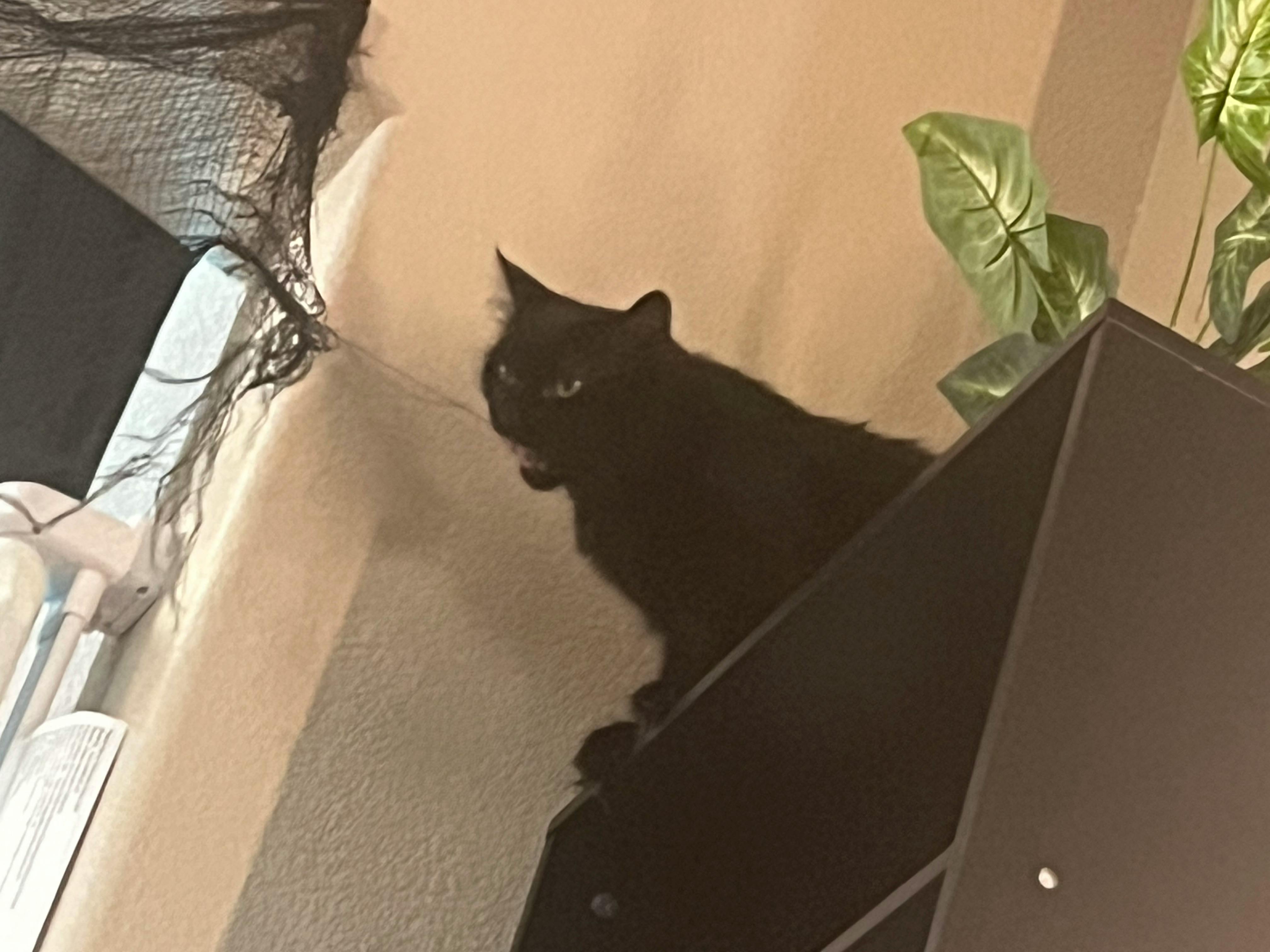 user avatar image for Emma