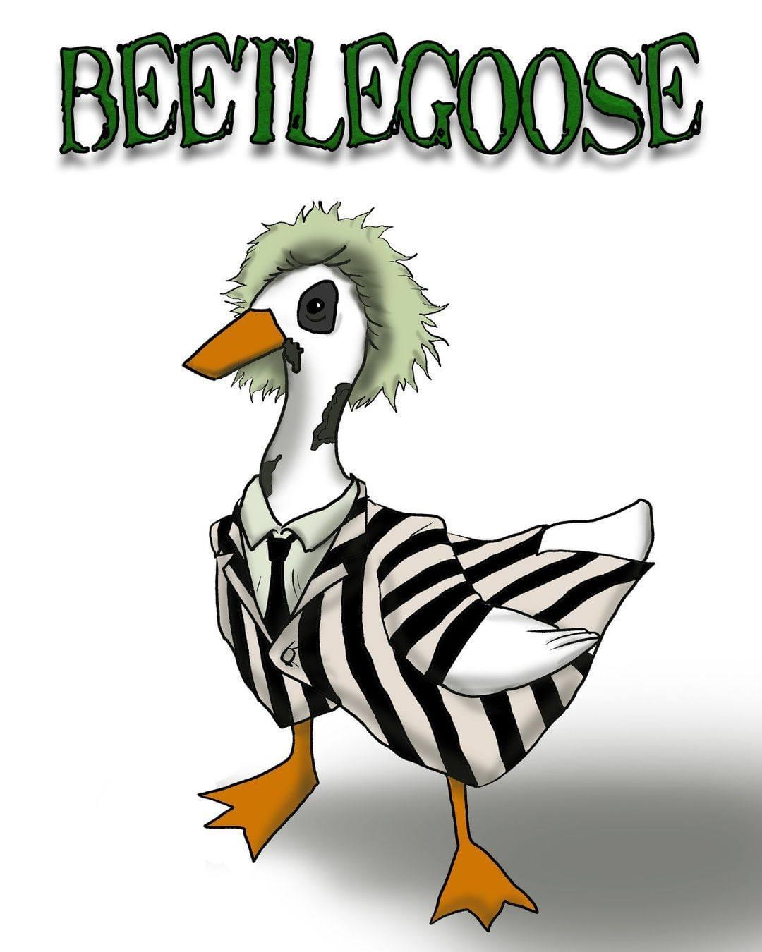 user avatar image for ThatIsAGoose