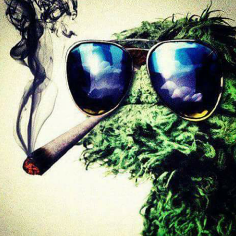 user avatar image for IZO