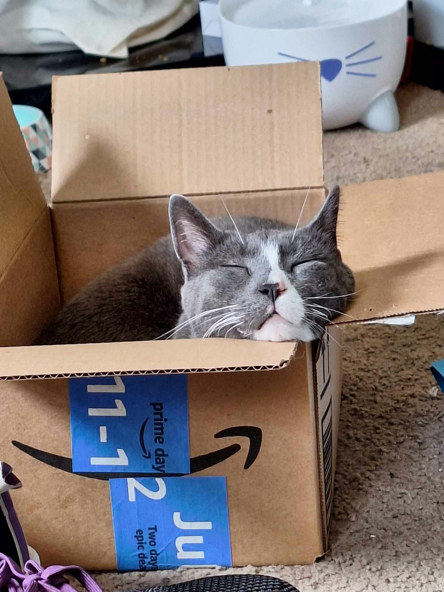 user avatar image for Captain8Track