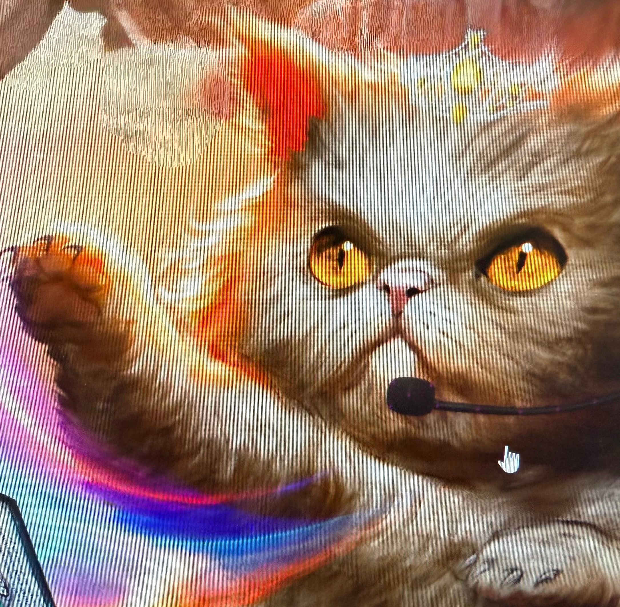 user avatar image for Ray