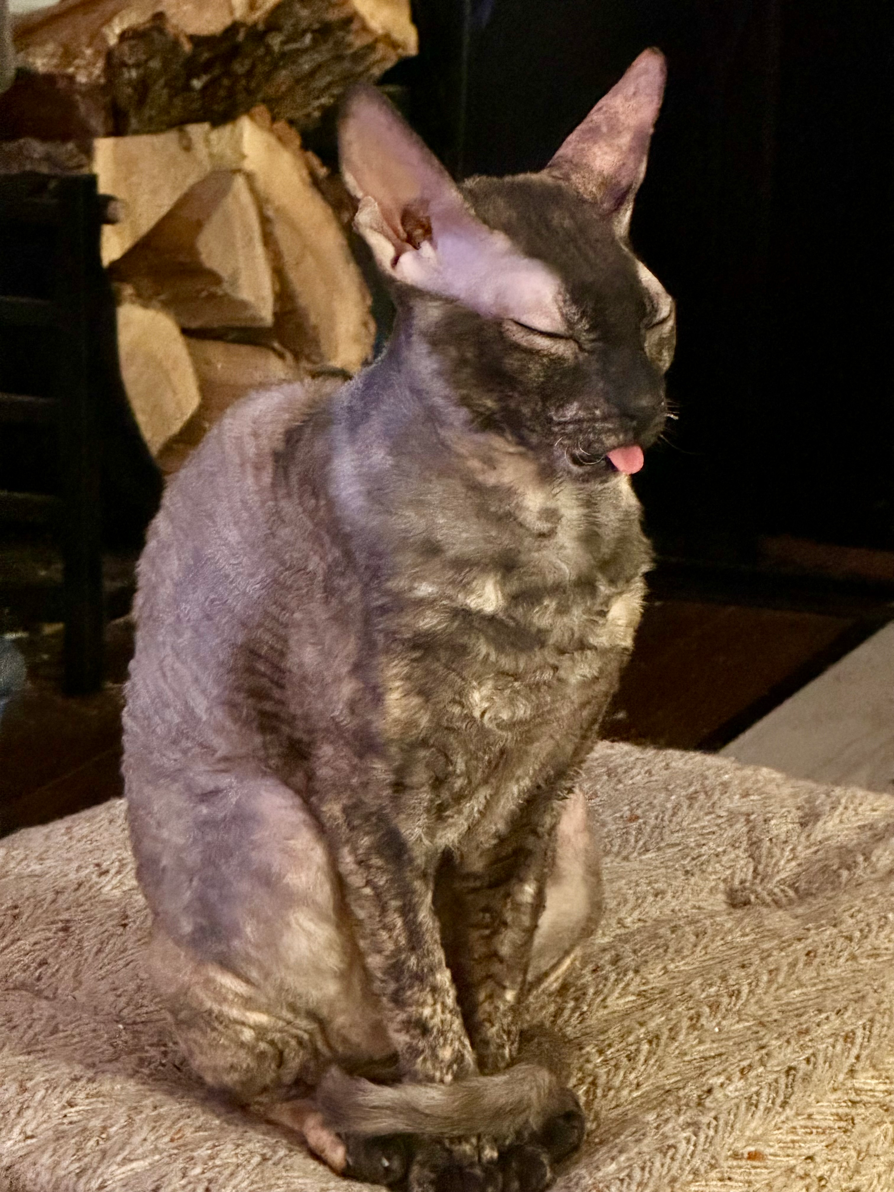 user avatar image for Intrinsic Echo