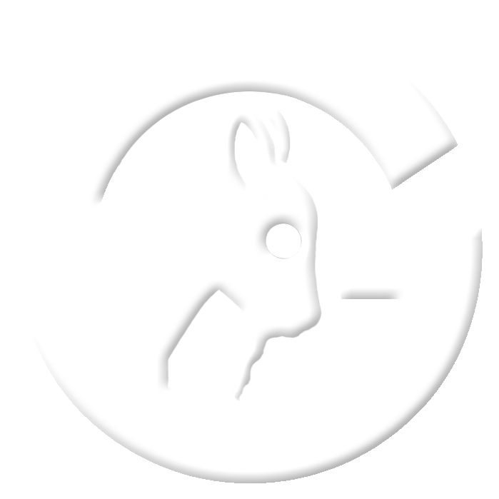 user avatar image for Jami Boston Guess