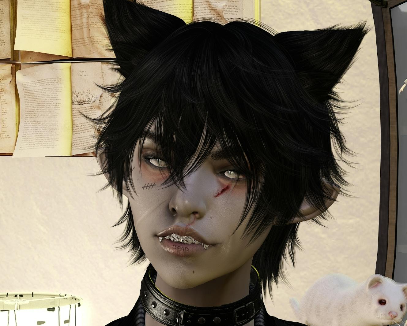 user avatar image for Hans De Loore