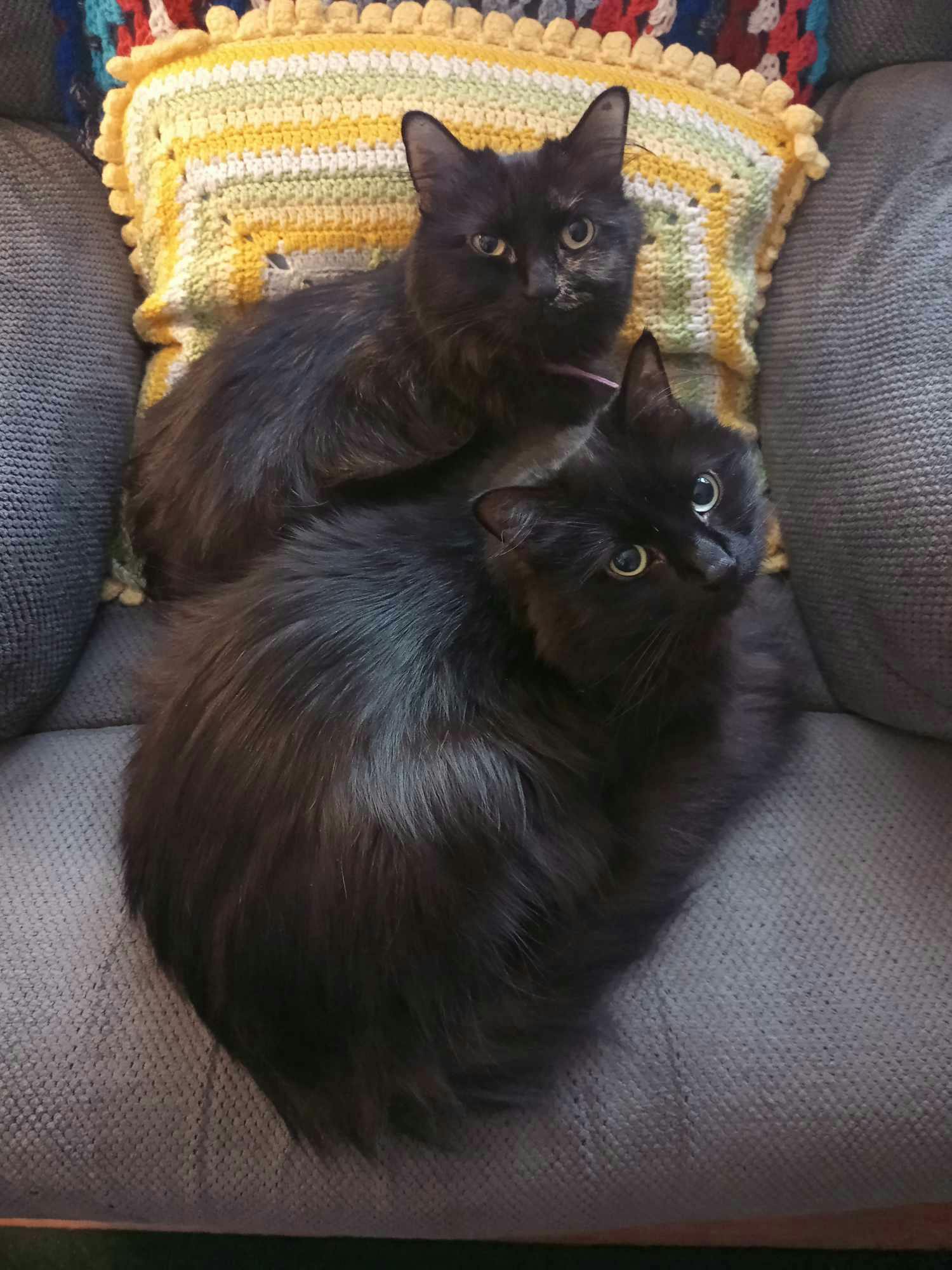 user avatar image for Sprill