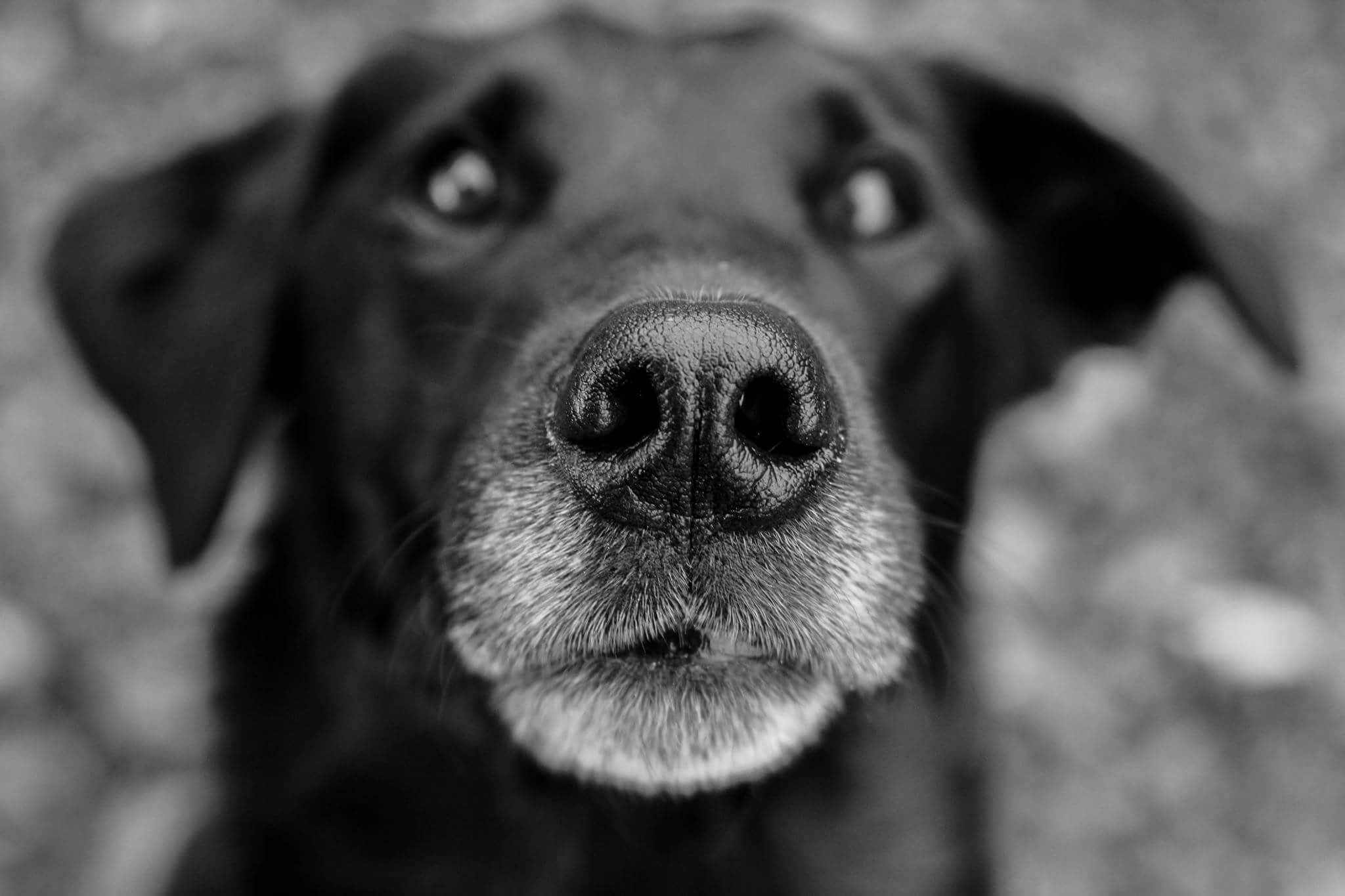 user avatar image for Amanda 