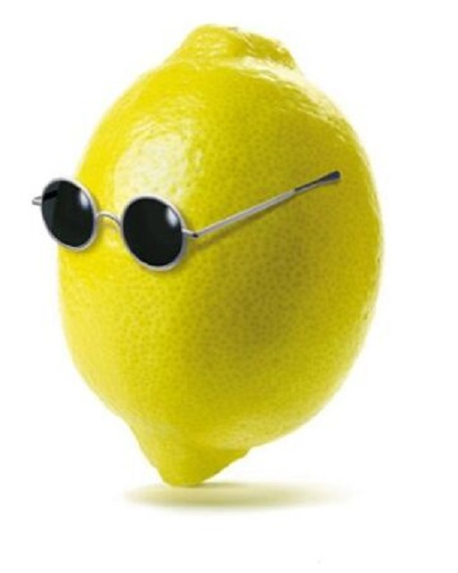 user avatar image for Ludicrous Lemon 