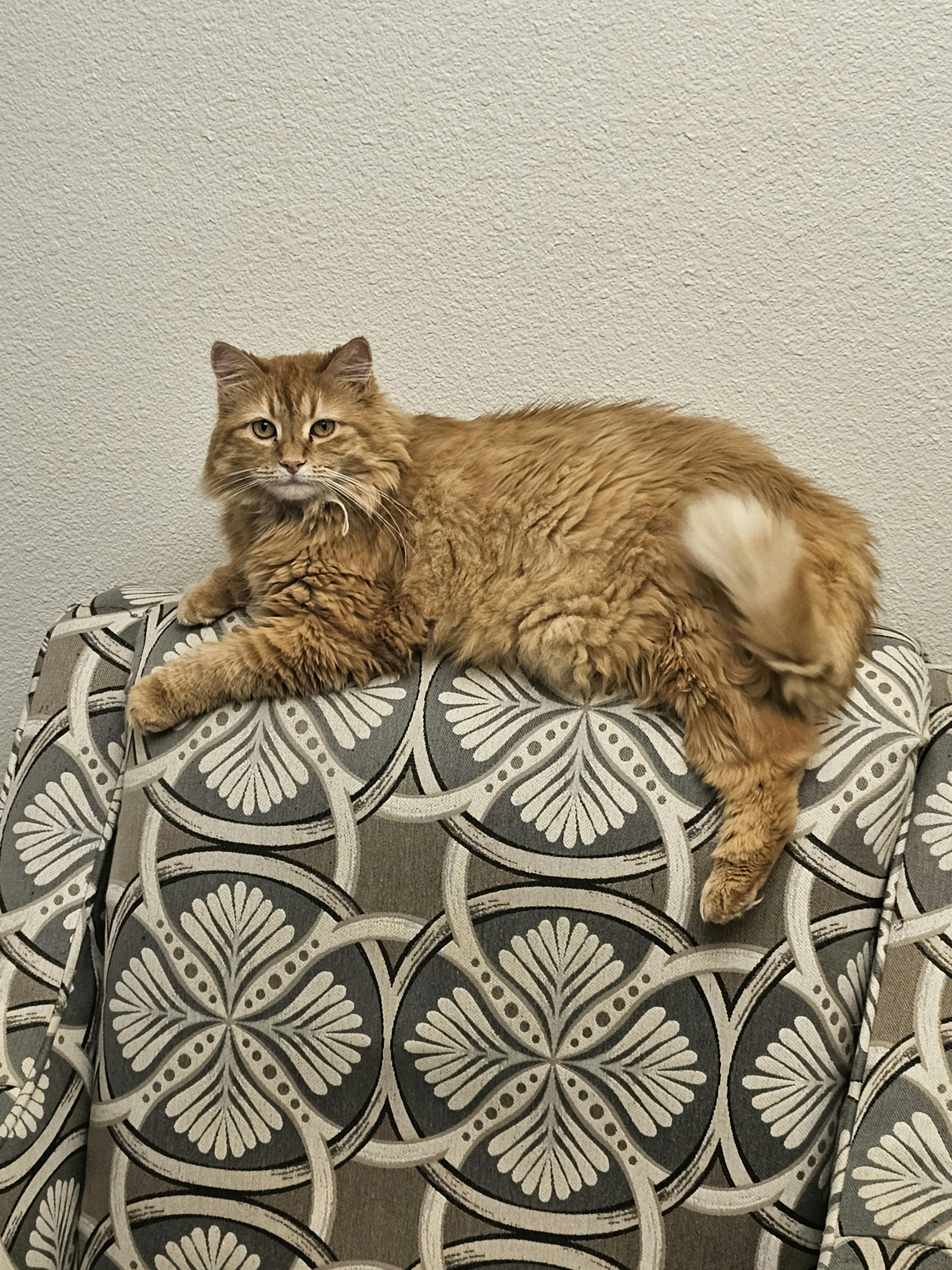 user avatar image for Tyler