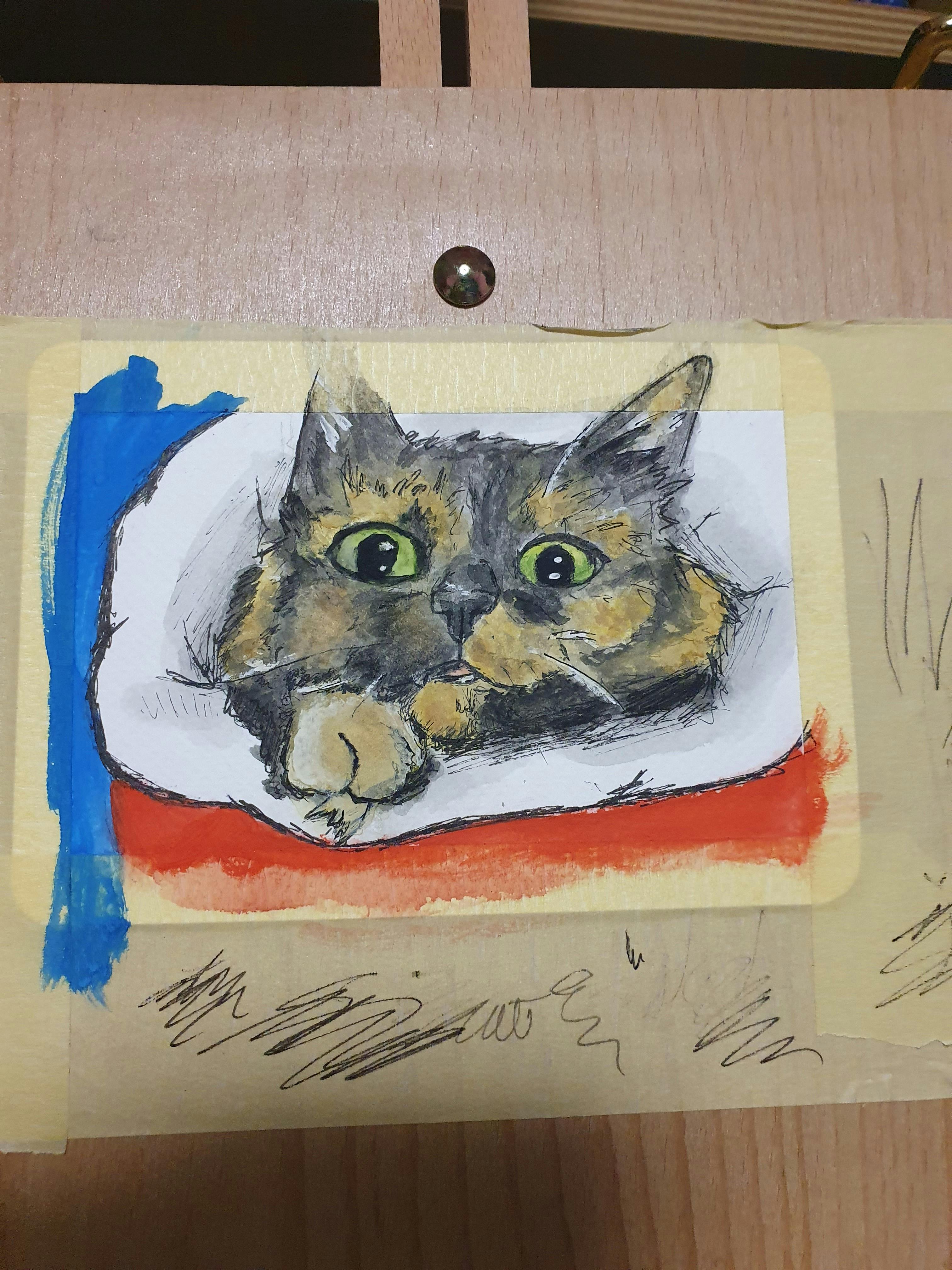 user avatar image for Jangery