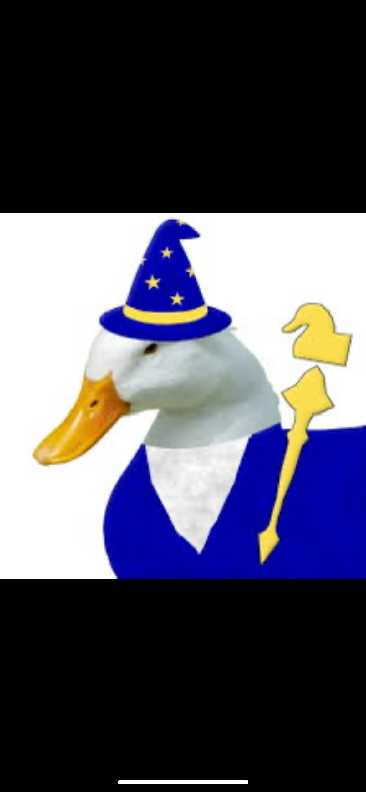 user avatar image for Tanner Dixon