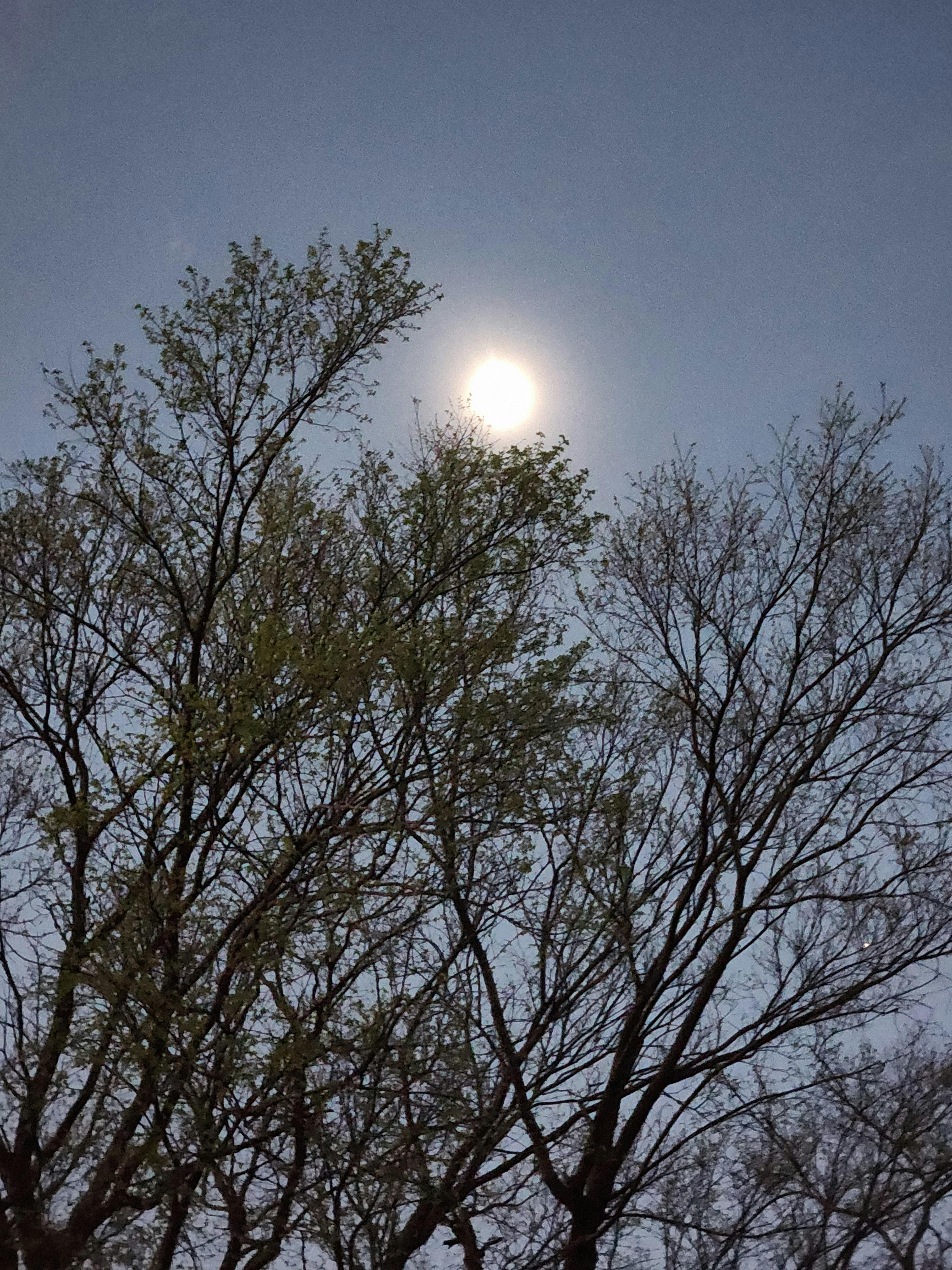 user avatar image for ZaneD