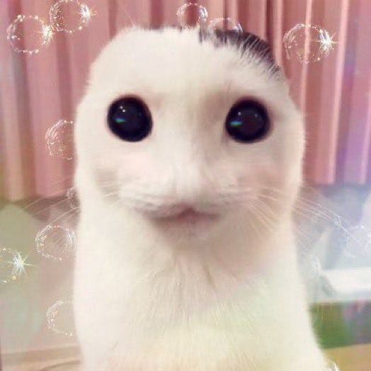 user avatar image for Gavyn