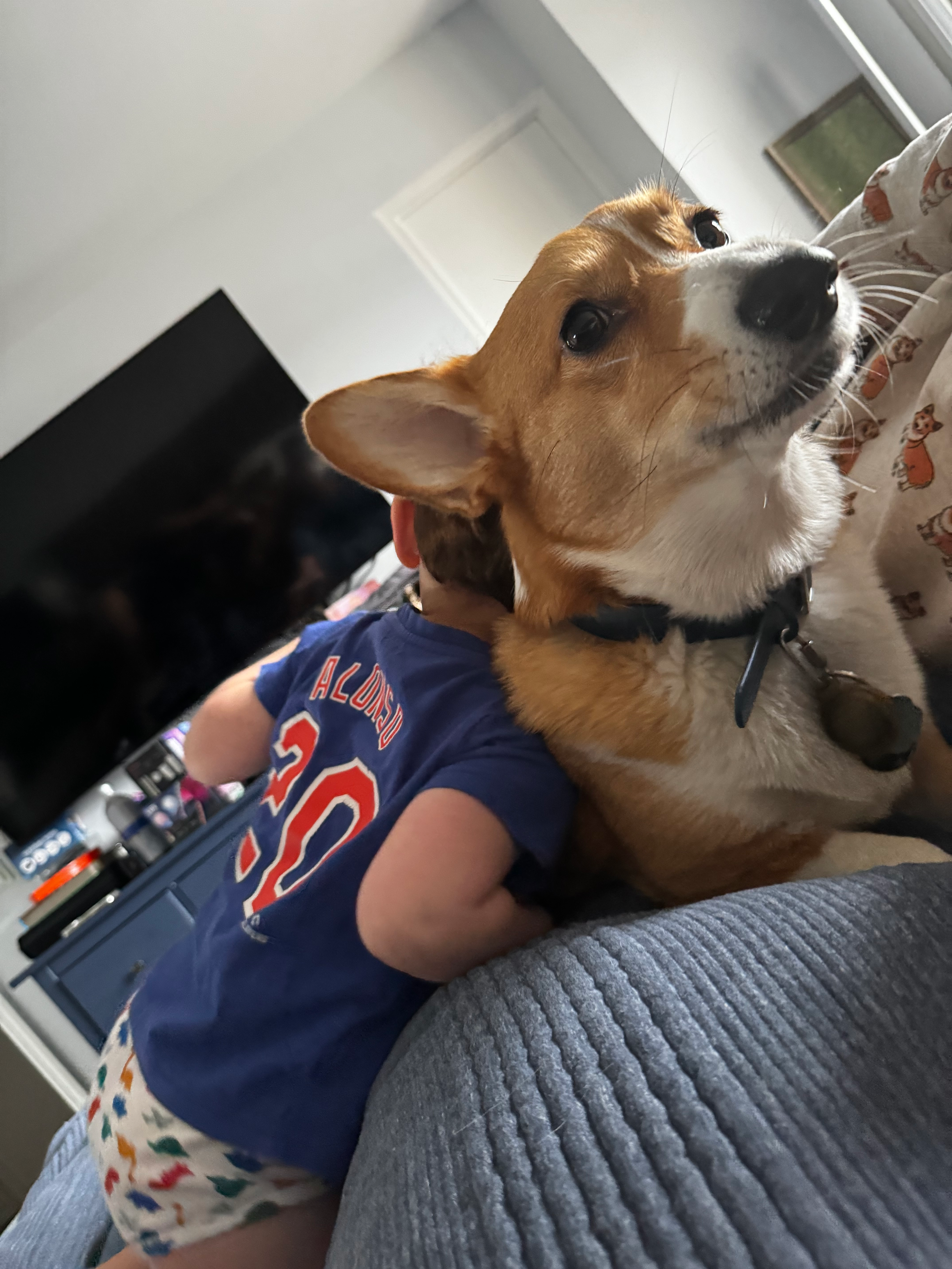 user avatar image for Lawsuitup