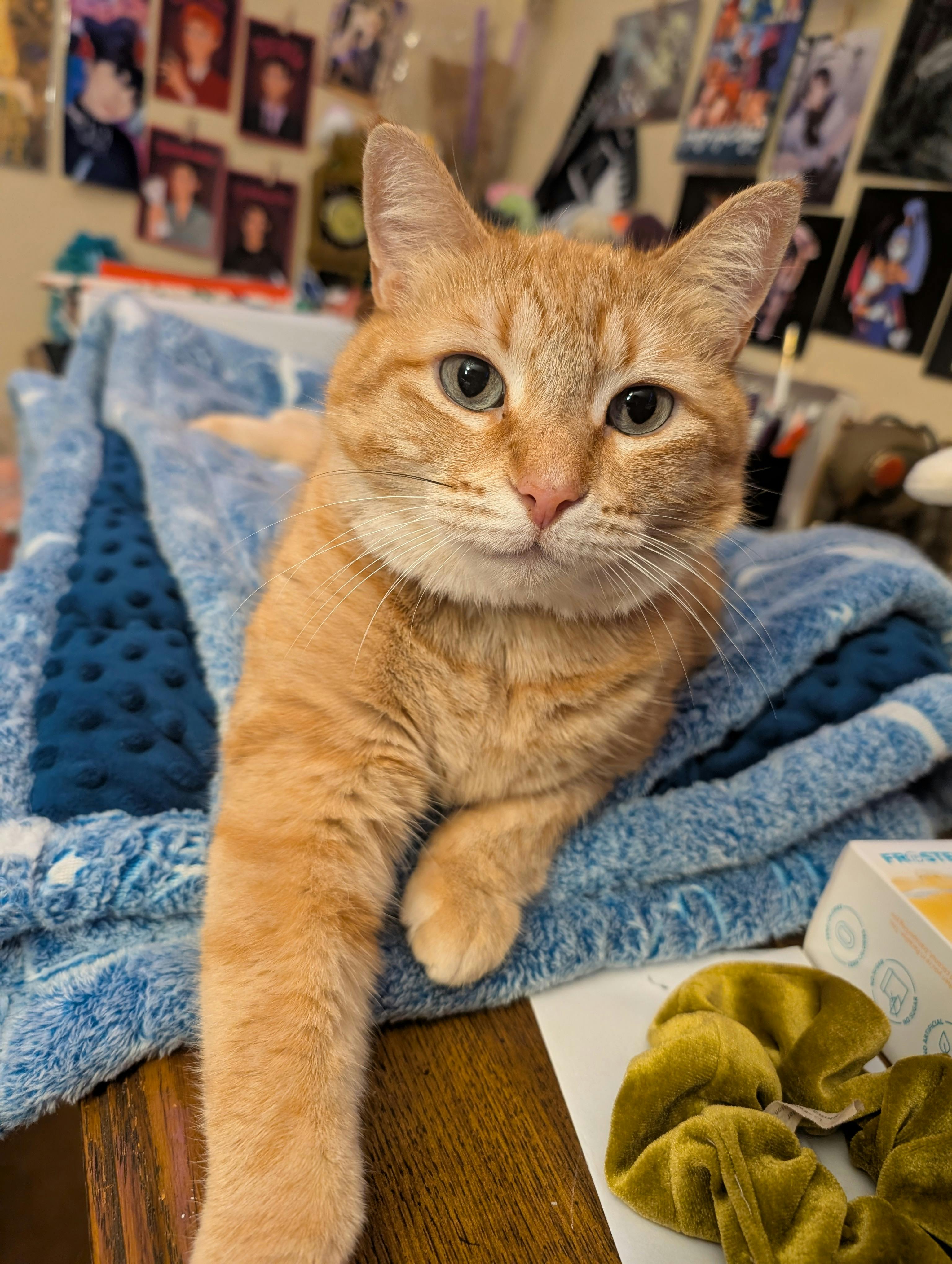 user avatar image for Starlight 