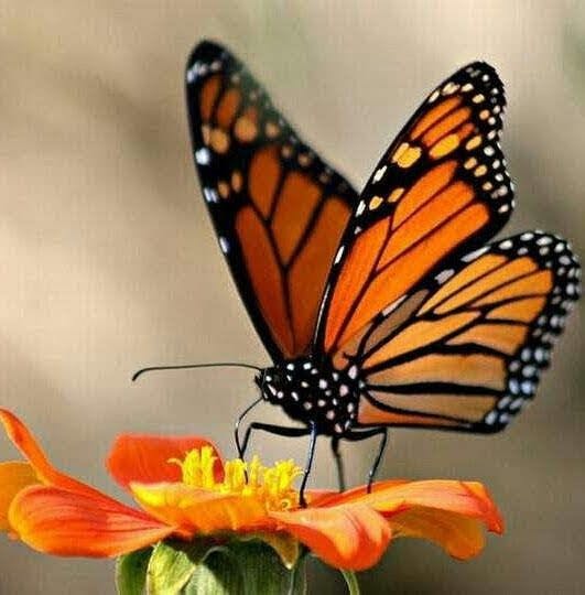 user avatar image for Stephanie Lauber