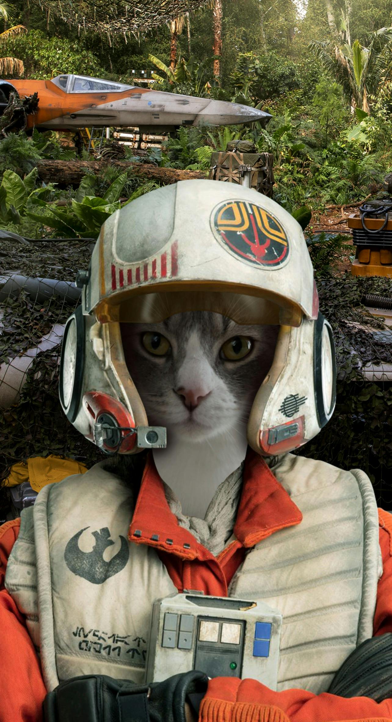 user avatar image for Will Glass