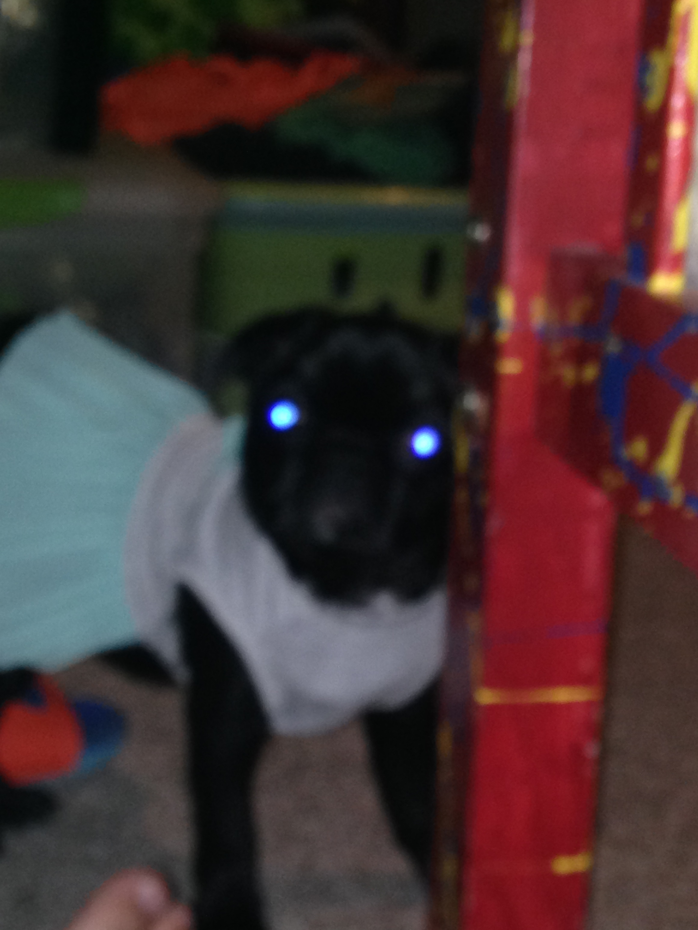 user avatar image for Michael Ensor