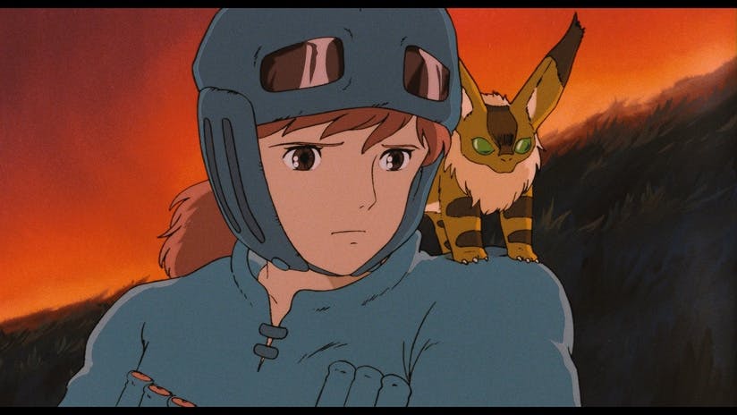 user avatar image for Lisa