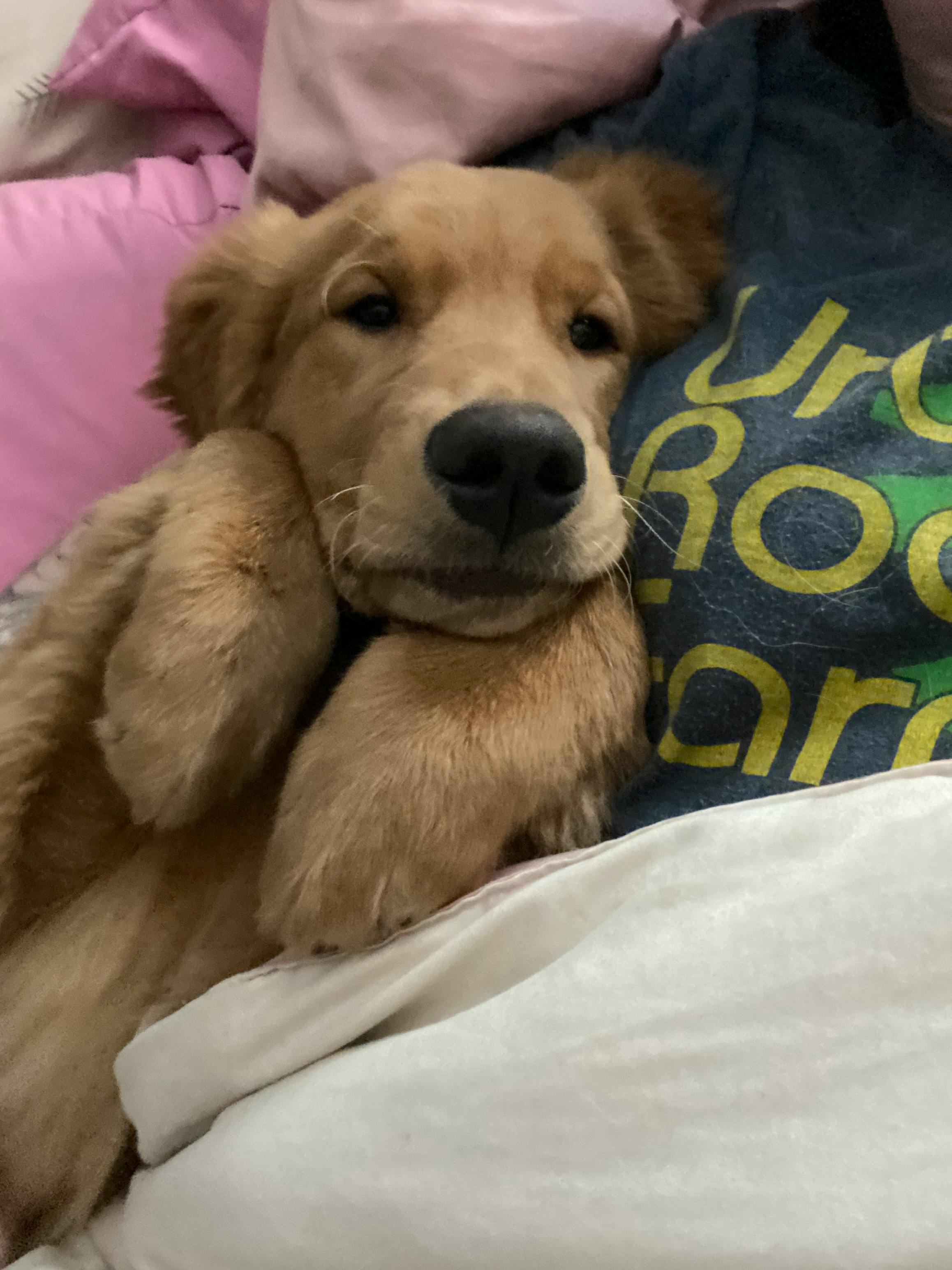 user avatar image for Karley