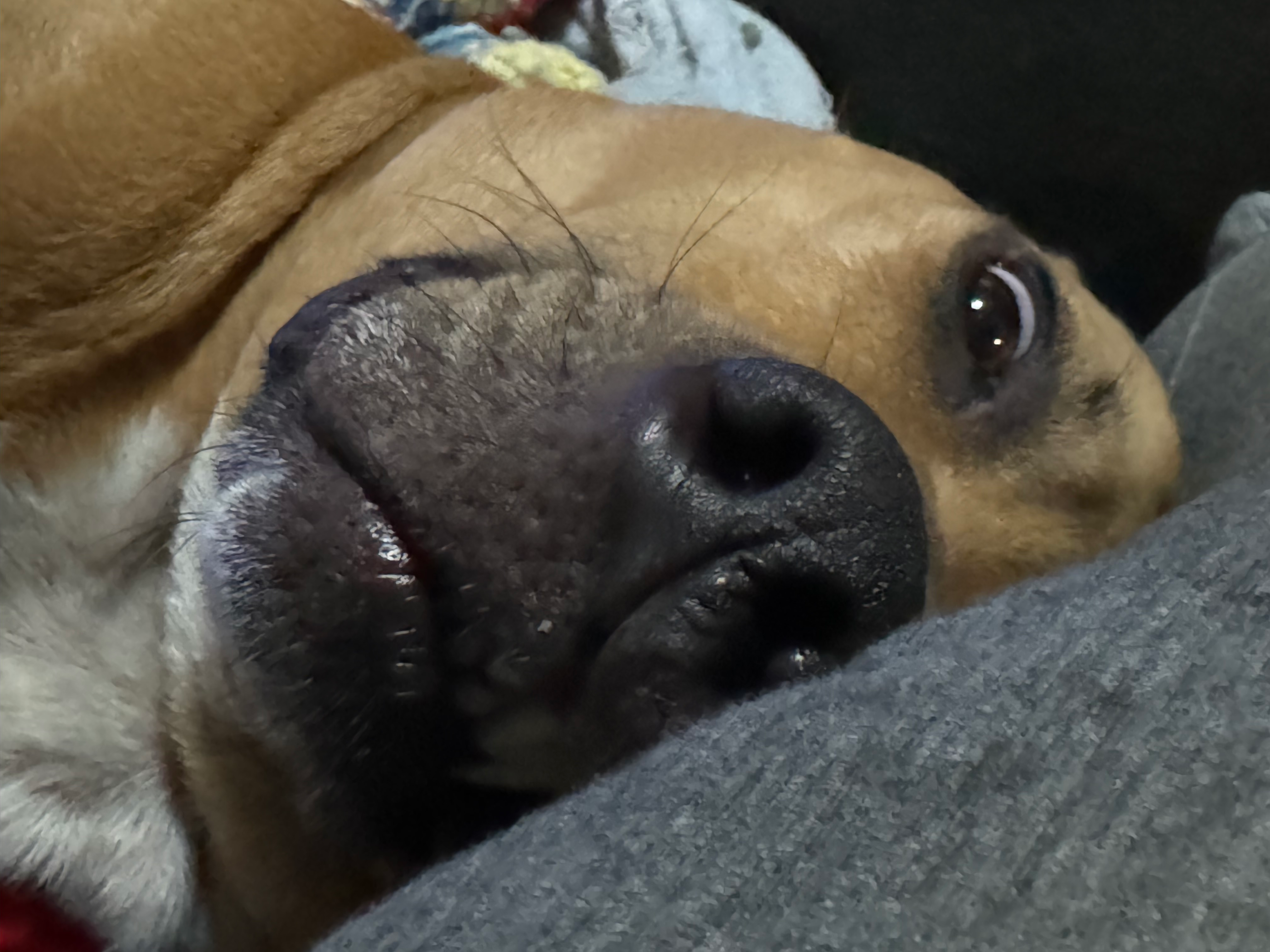 user avatar image for Scott