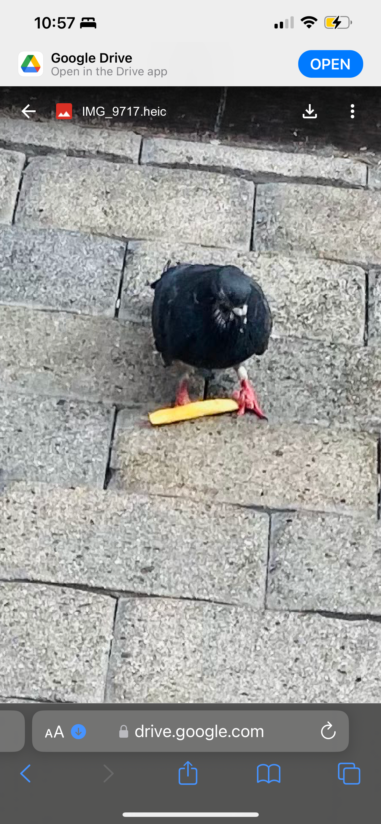 user avatar image for Stephany Elgin