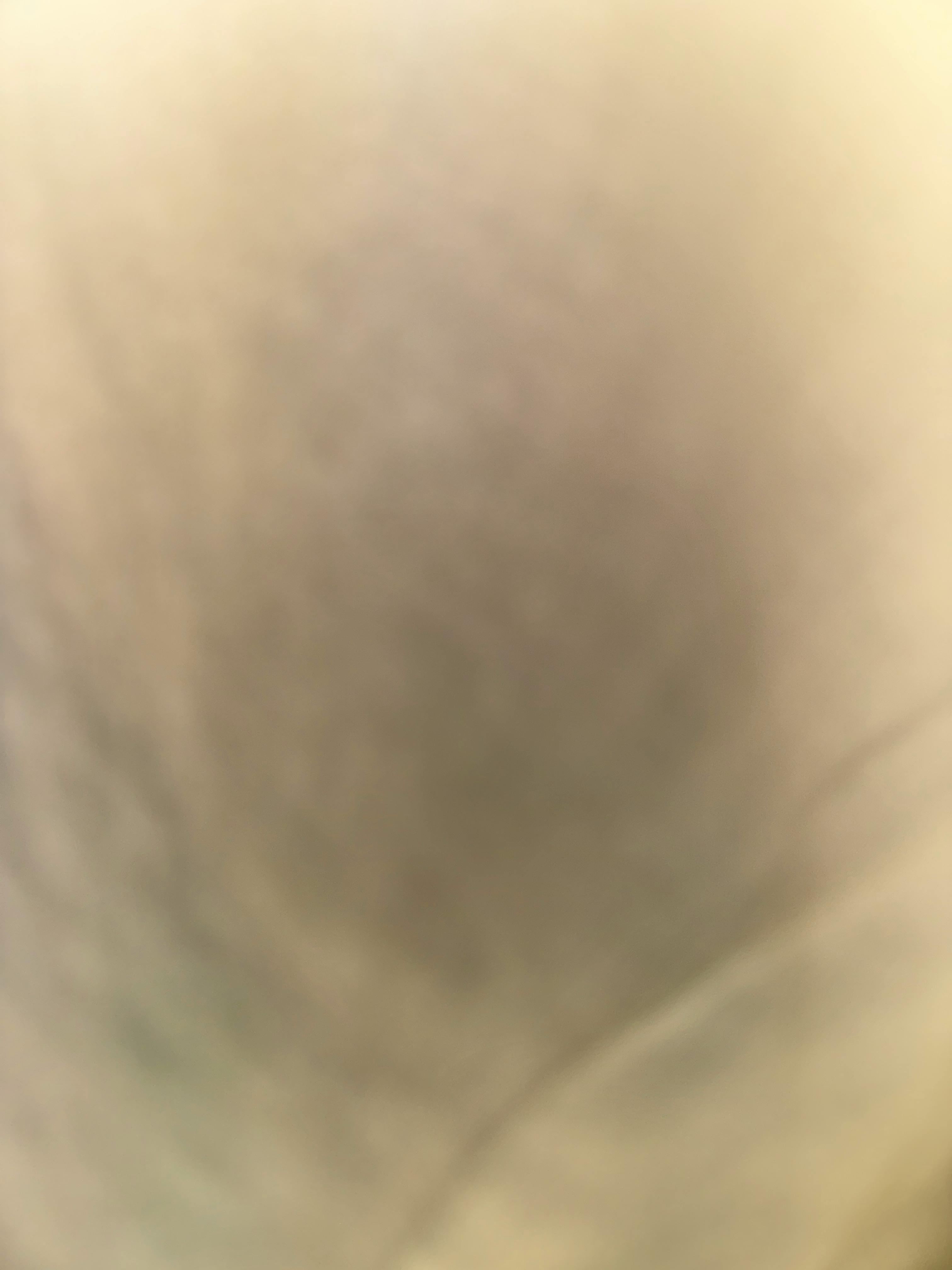 user avatar image for BNohr