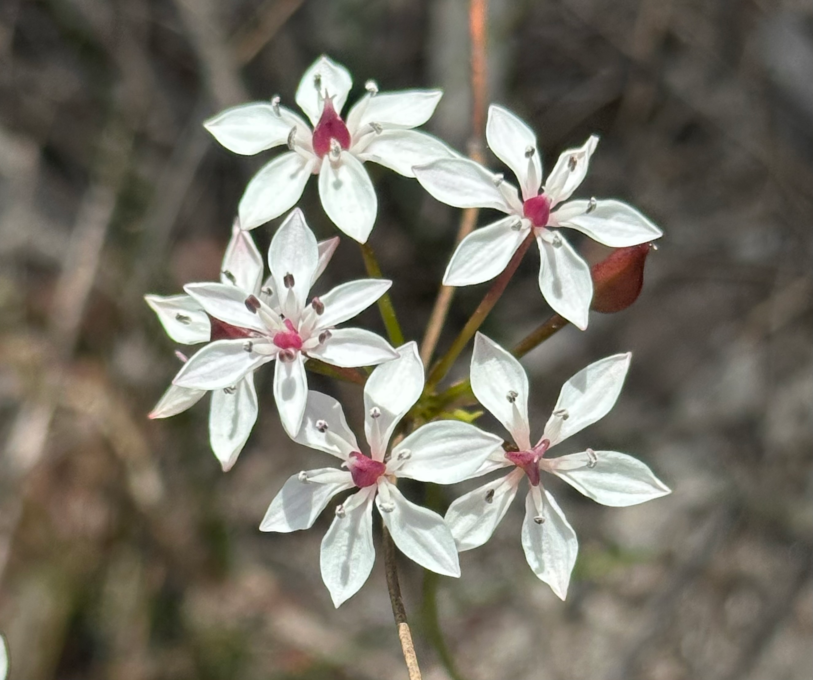 user avatar image for Jan D