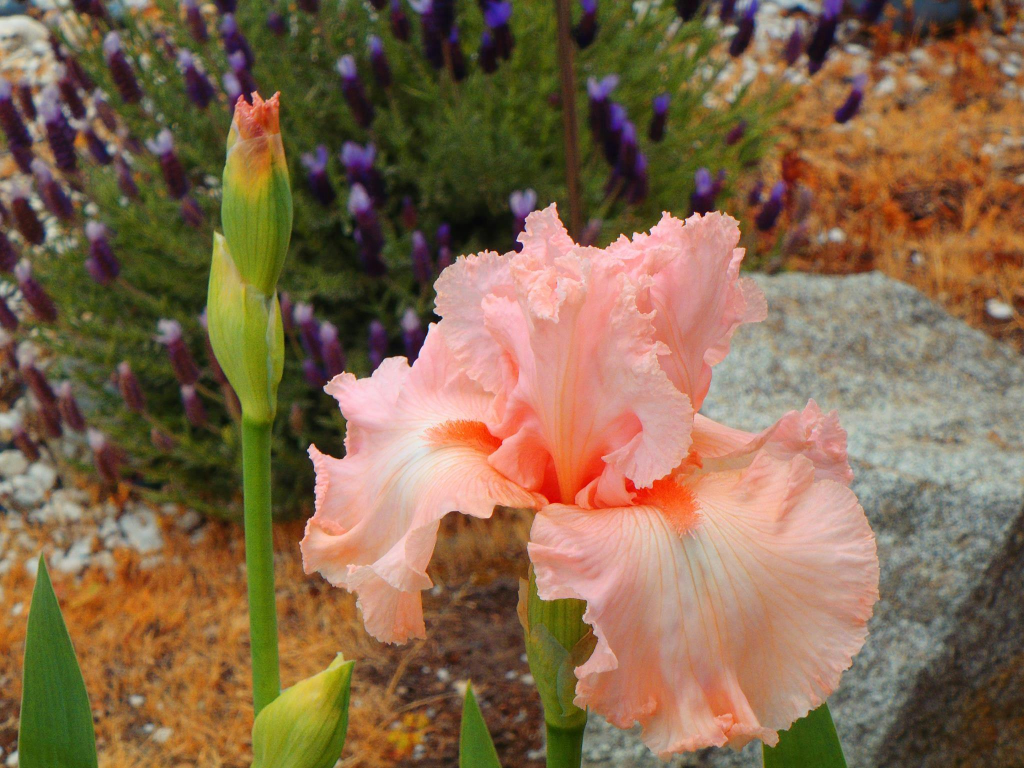 user avatar image for Ann McKee