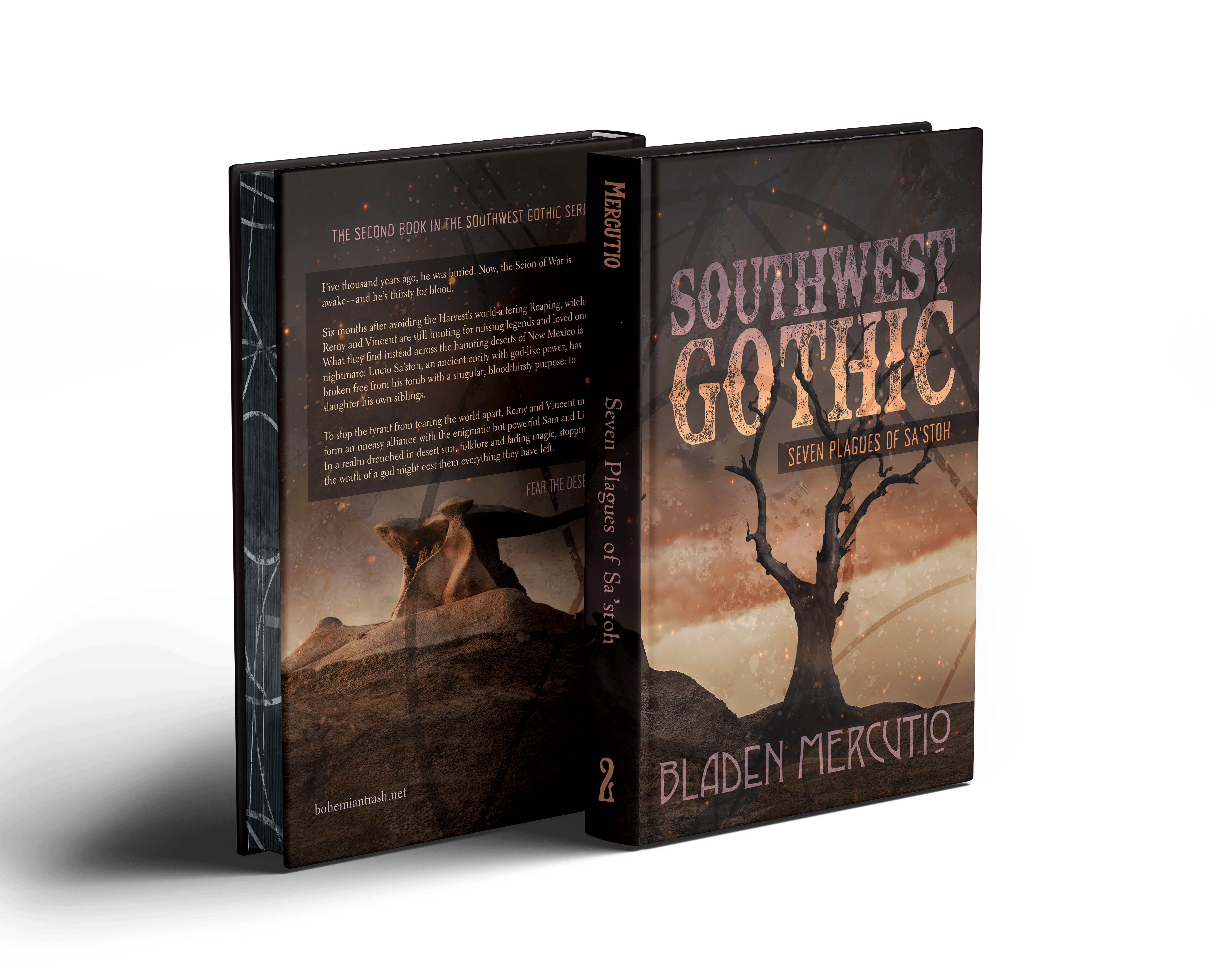 Volume 2 Limited Edition Hardcover